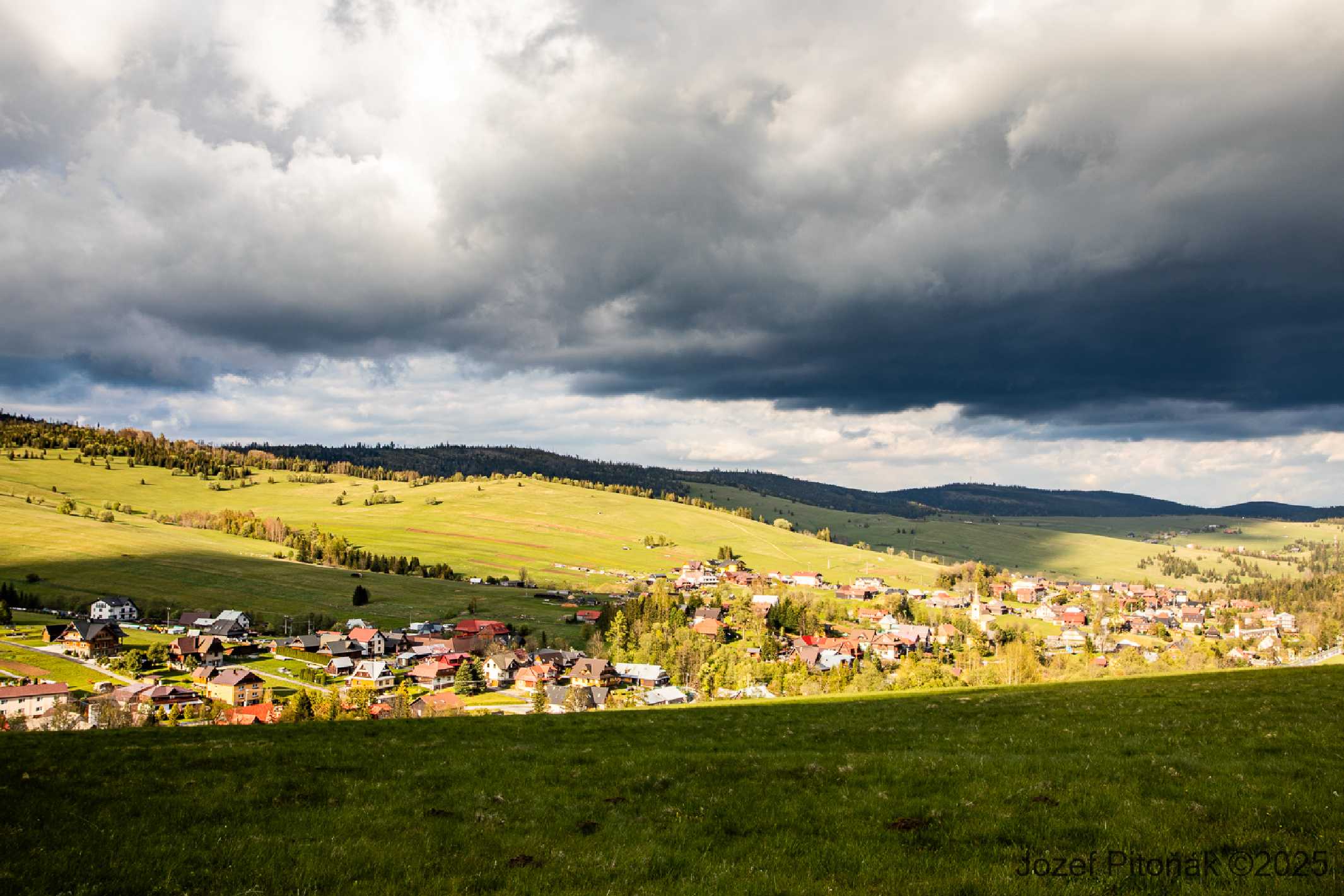 Horské májové louky - Foto Jozef Pitoňák 0525 (8)