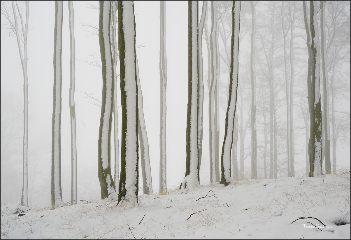 Šluknovsko - Foto Monika Suržinová 0625 (4)