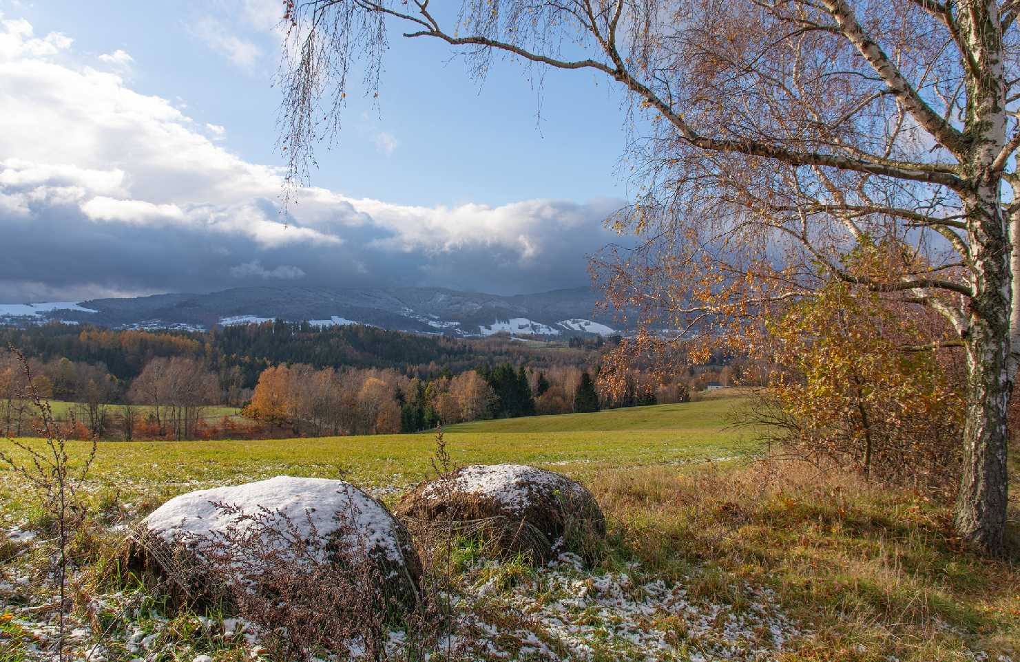 První listopadový poprašek - Liberecko - Foto Jaroslava Jechová 1124 (1)