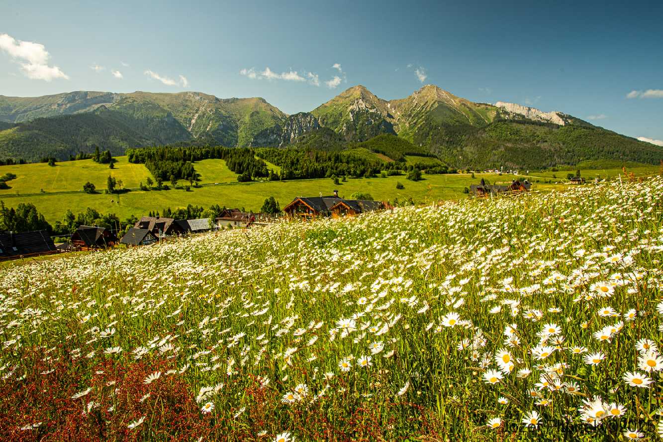 Ždiarske luky - Foto Jozef Pitoňák 0625 (8)