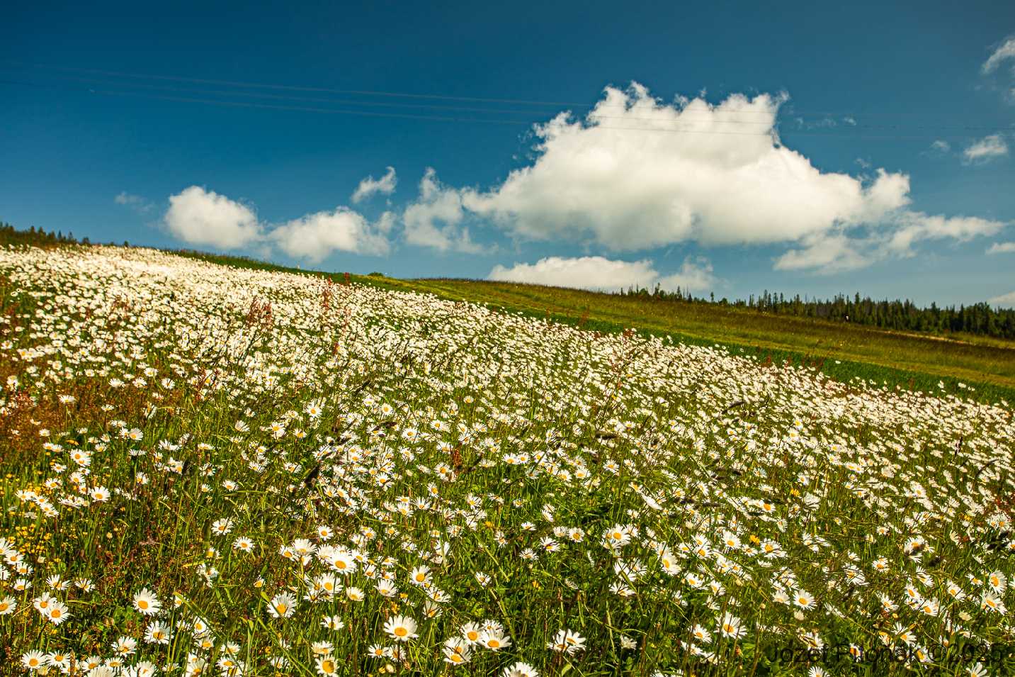 Ždiarske luky - Foto Jozef Pitoňák 0625 (1)