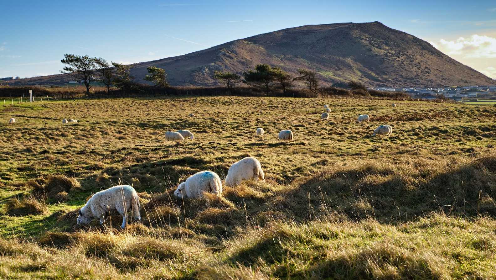 Llangennith - Wales - Foto Jana Ježková 0125 (2)