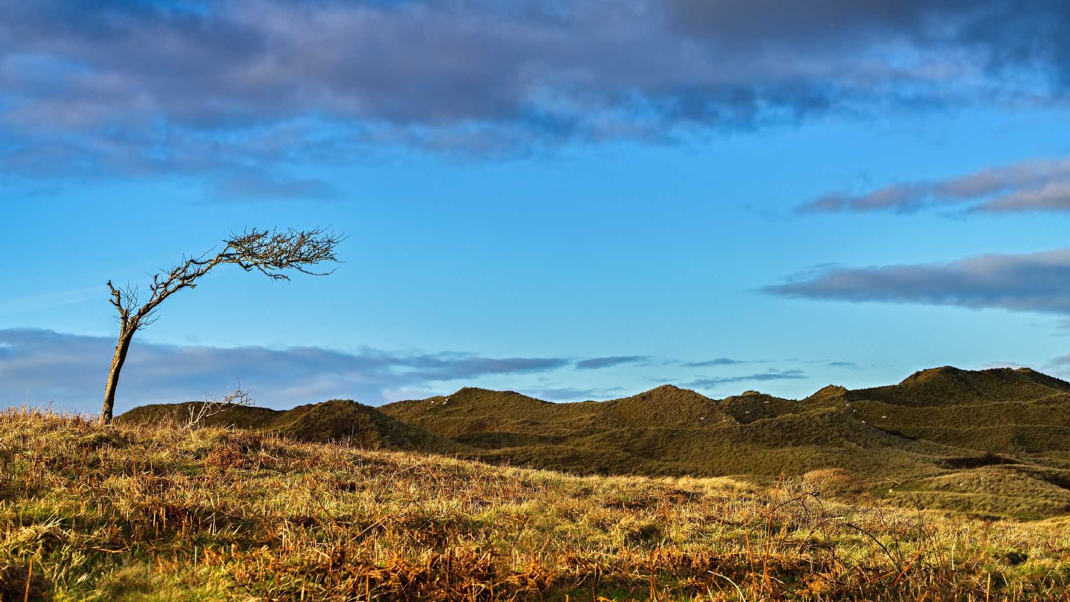 Llangennith - Wales - Foto Jana Ježková 0125 (3)