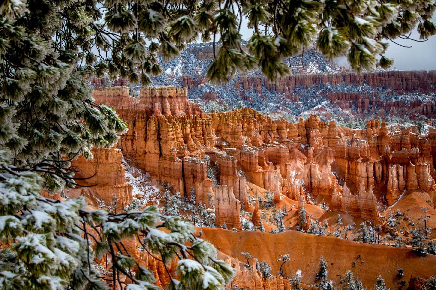 Sníh na Bryce Canyon - Foto Ladislav Hanousek 0725