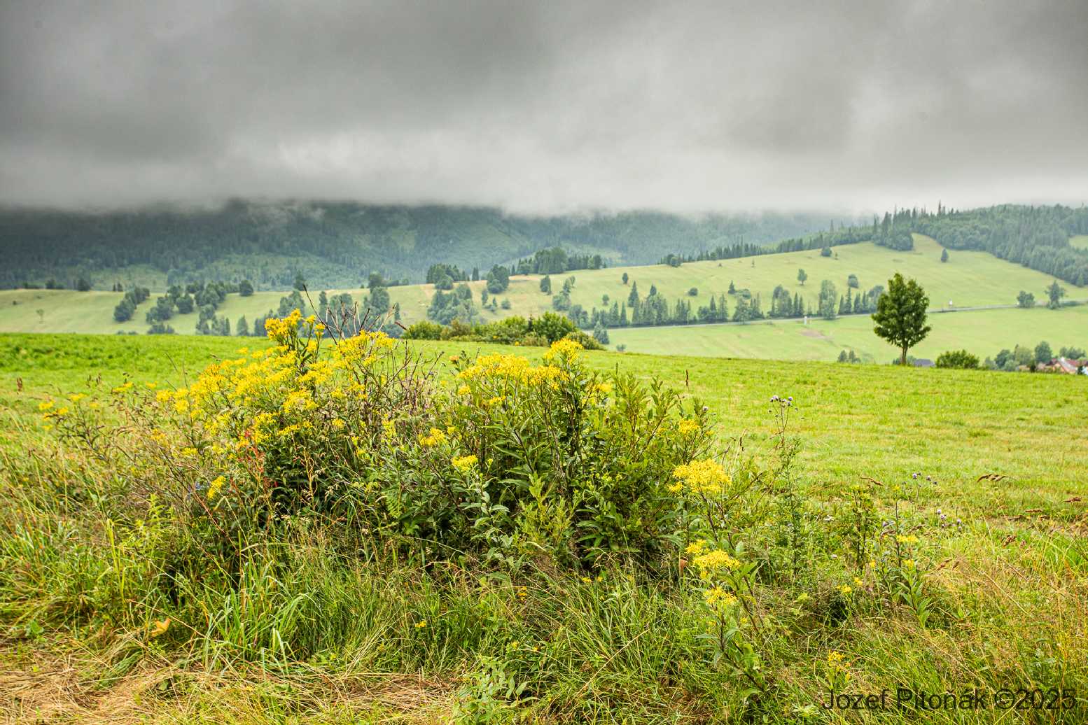 Střípky ze slovenských hor - Foto Jozef Pitoňák 0825 (1)