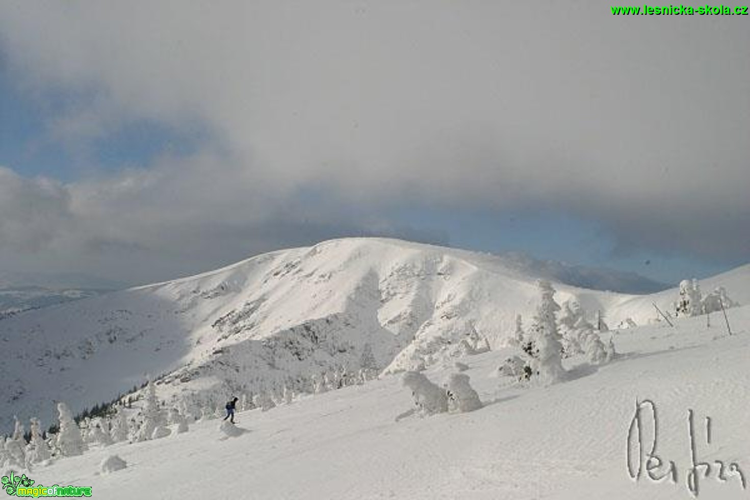 Zima - Foto Jiří Křivánek (1)