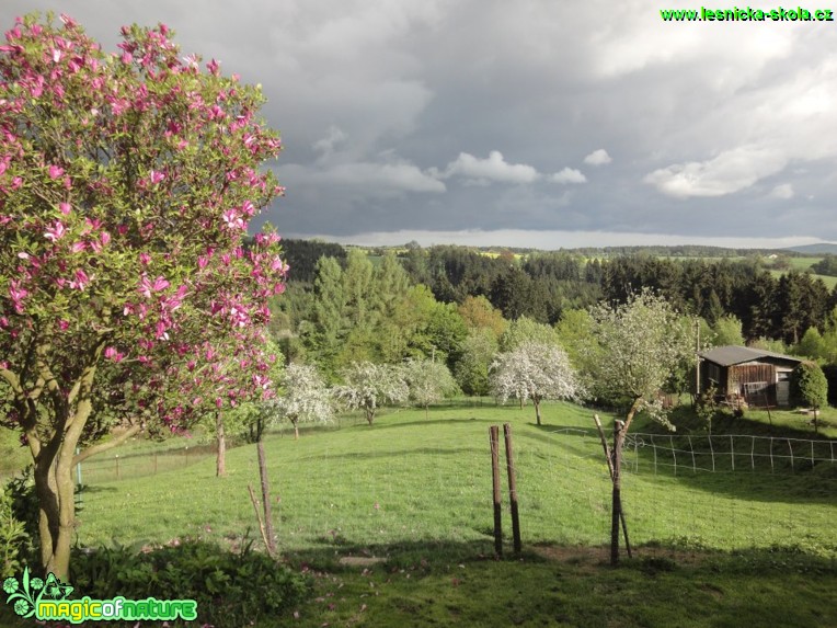 Krajina - Foto Jiří Křivánek