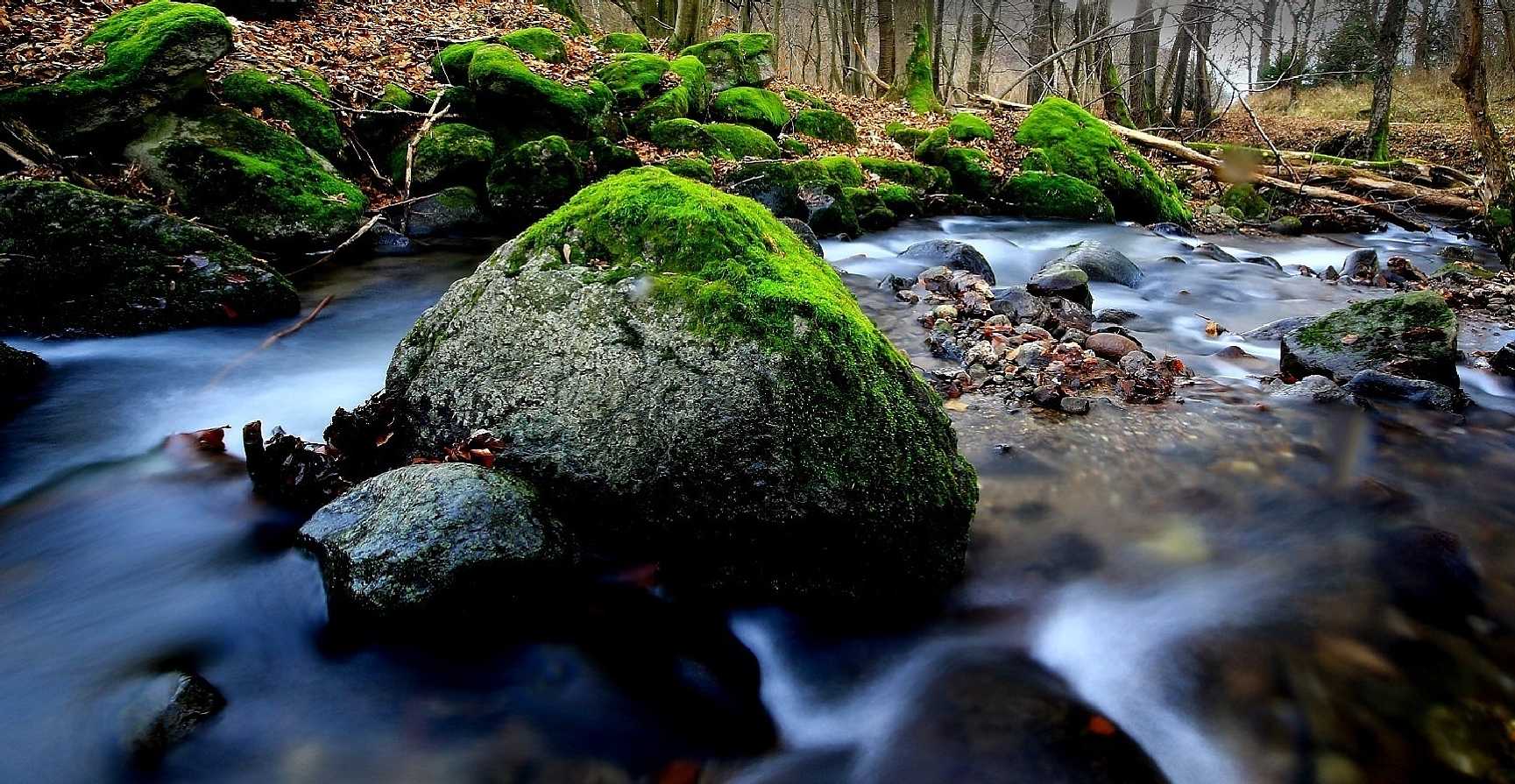 Na potoce - Foto Pavel Balazka 0525