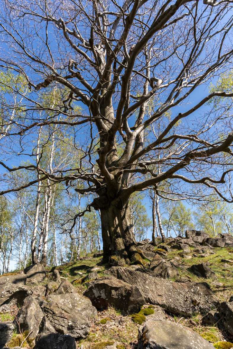 Malý Stožec - Foto Petr Germanič 0425 (11)