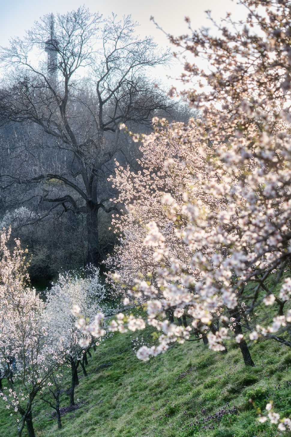 Petřín - Foto Jana Ježková 0325