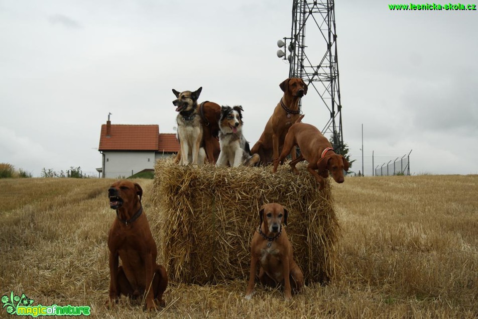 Na balíku - Foto Jiří Křivánek