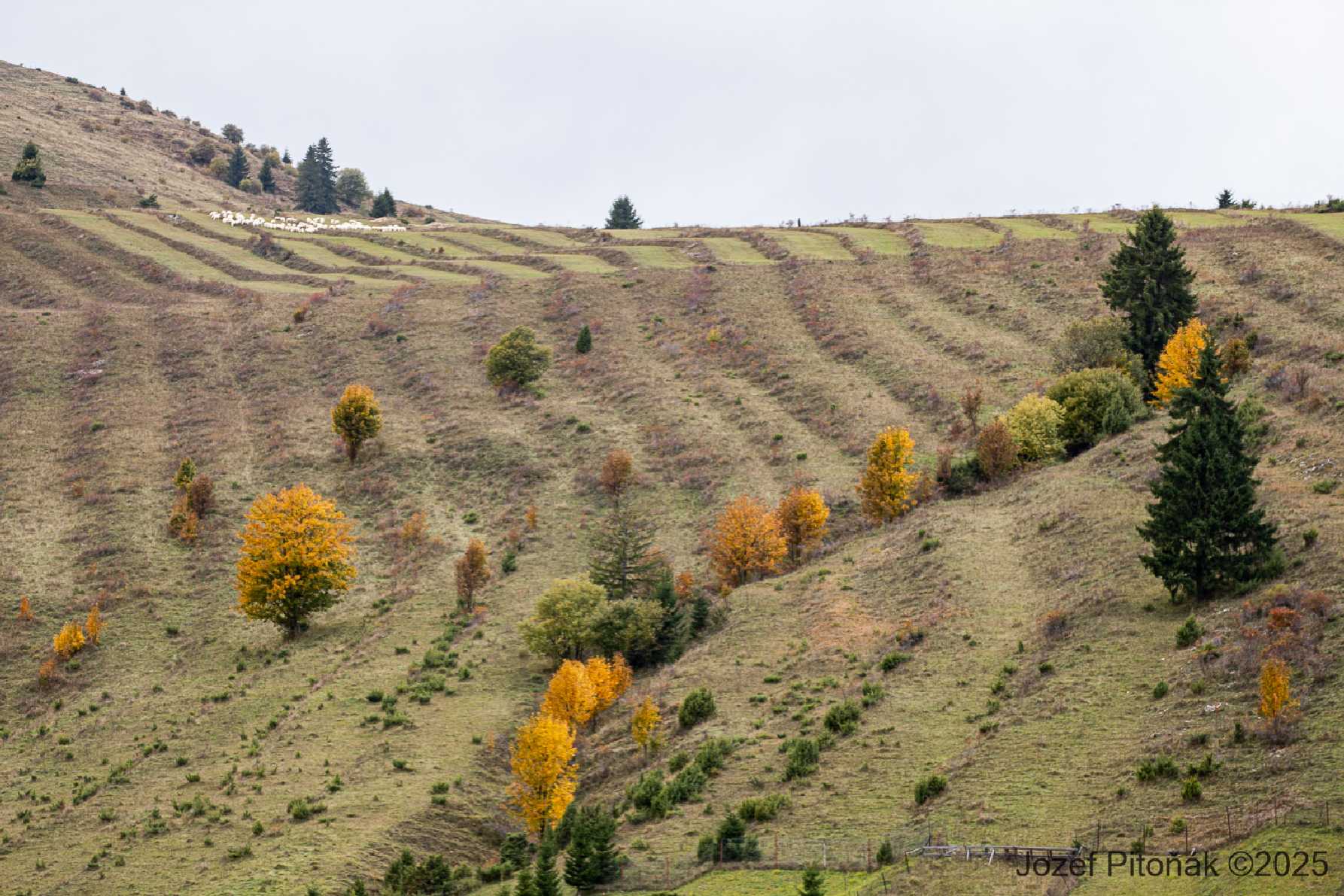 Liptovská Teplička - Foto Jozef Pitoňák 1025 (1)