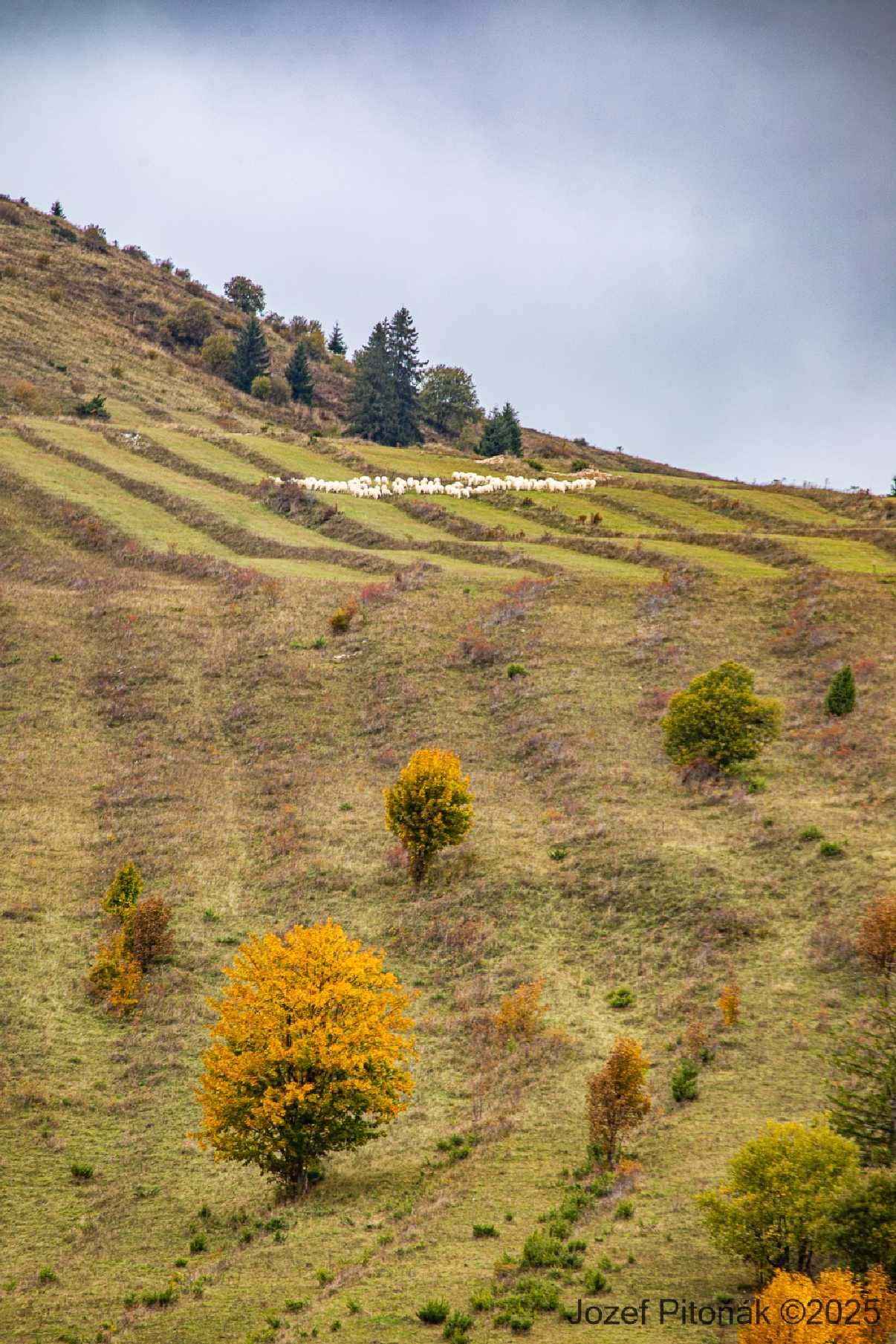 Liptovská Teplička - Foto Jozef Pitoňák 1025 (4)