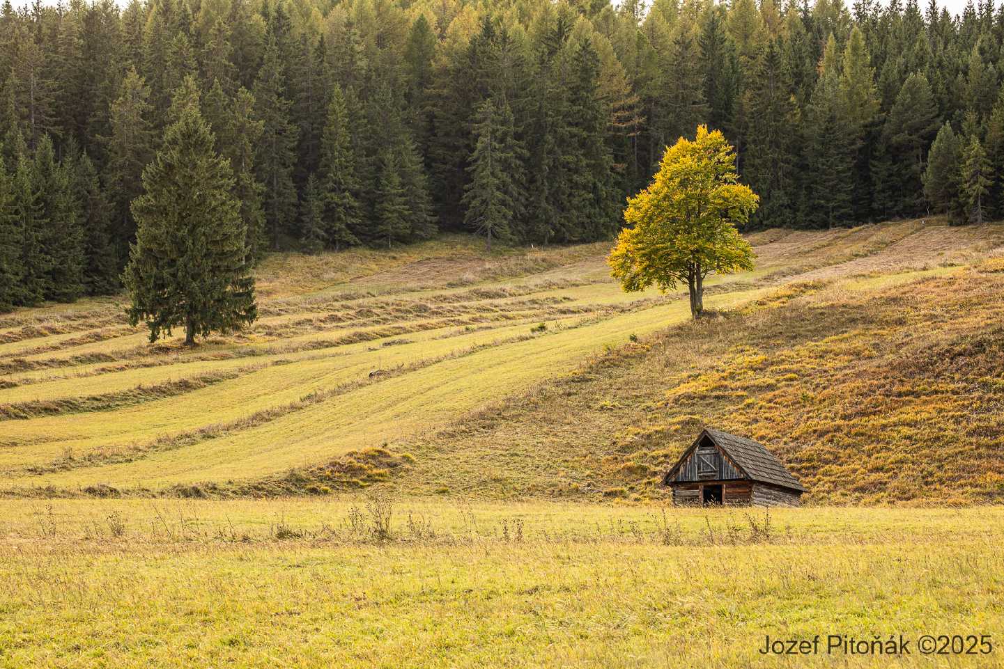 Liptovská Teplička - Foto Jozef Pitoňák 1025 (6)