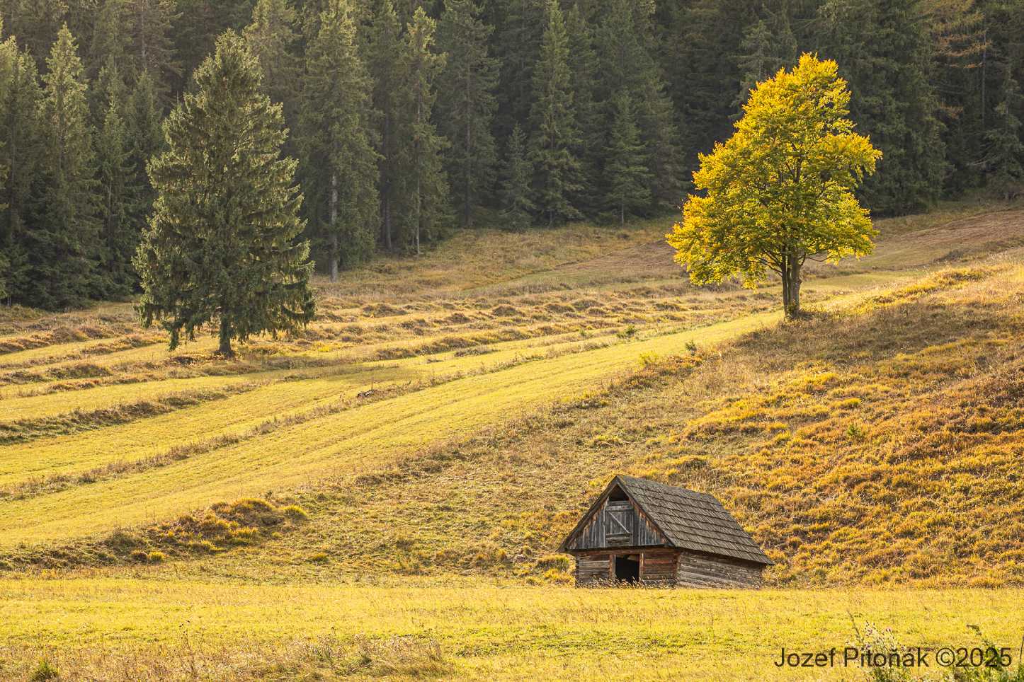 Liptovská Teplička - Foto Jozef Pitoňák 1025 (7)
