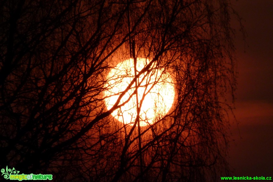 Magický čas - Foto Ivana Šťastná (1)