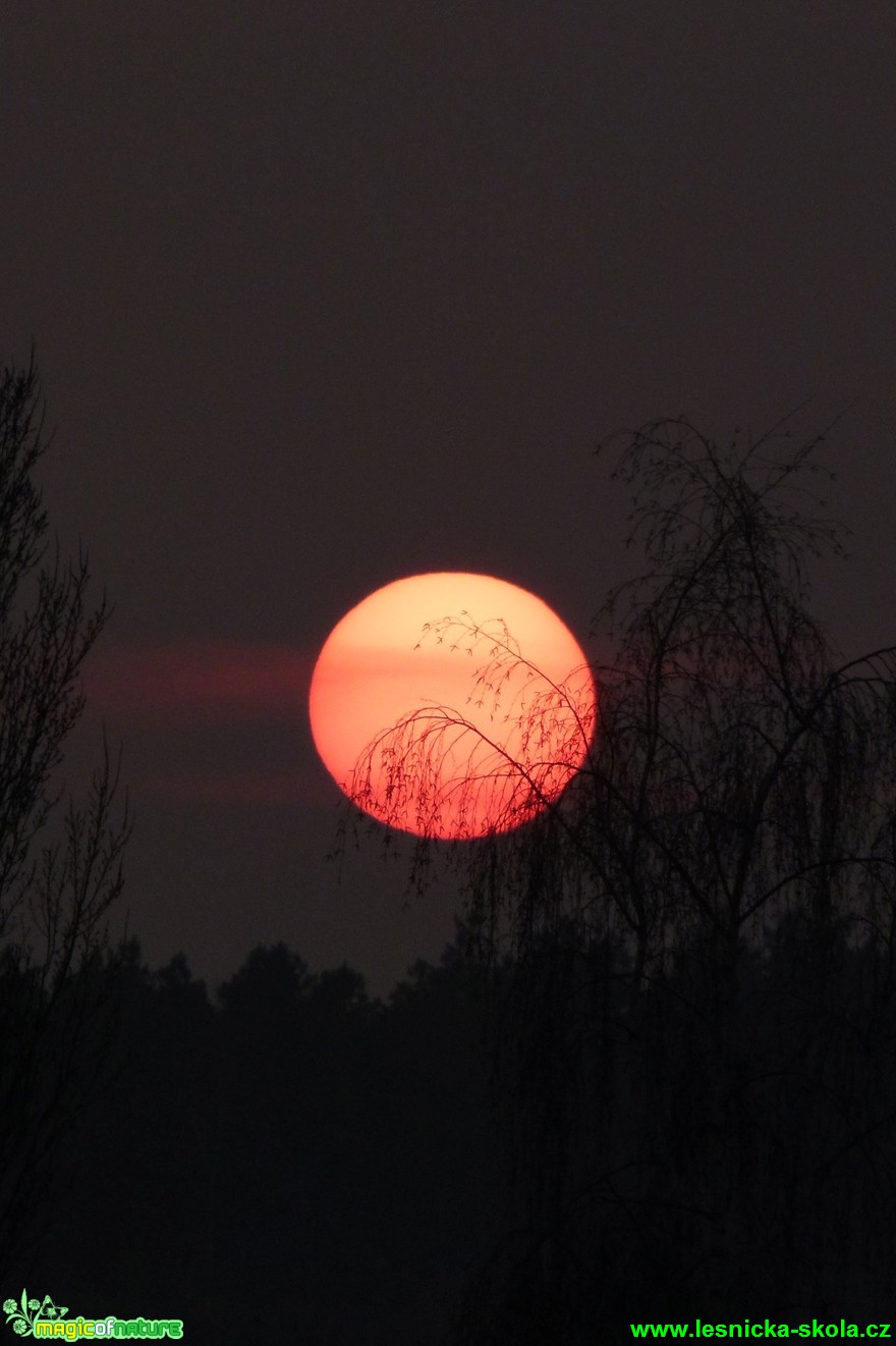 Magický čas - Foto Ivana Šťastná