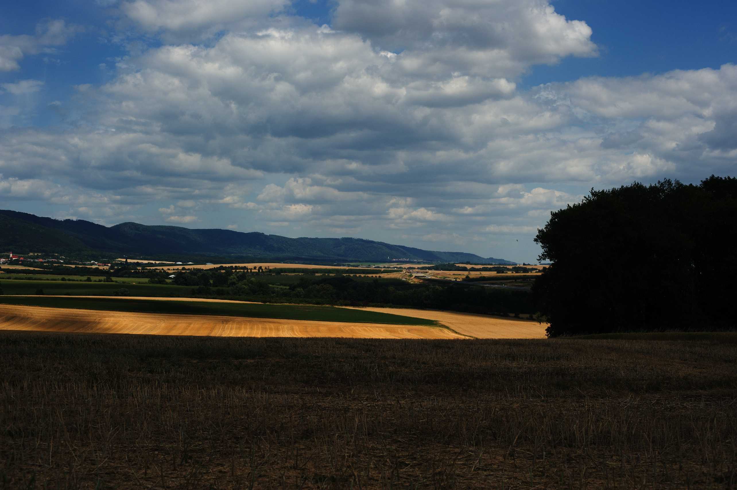 Čas sklizně - Foto Tomáš Kunze 1025 (5)