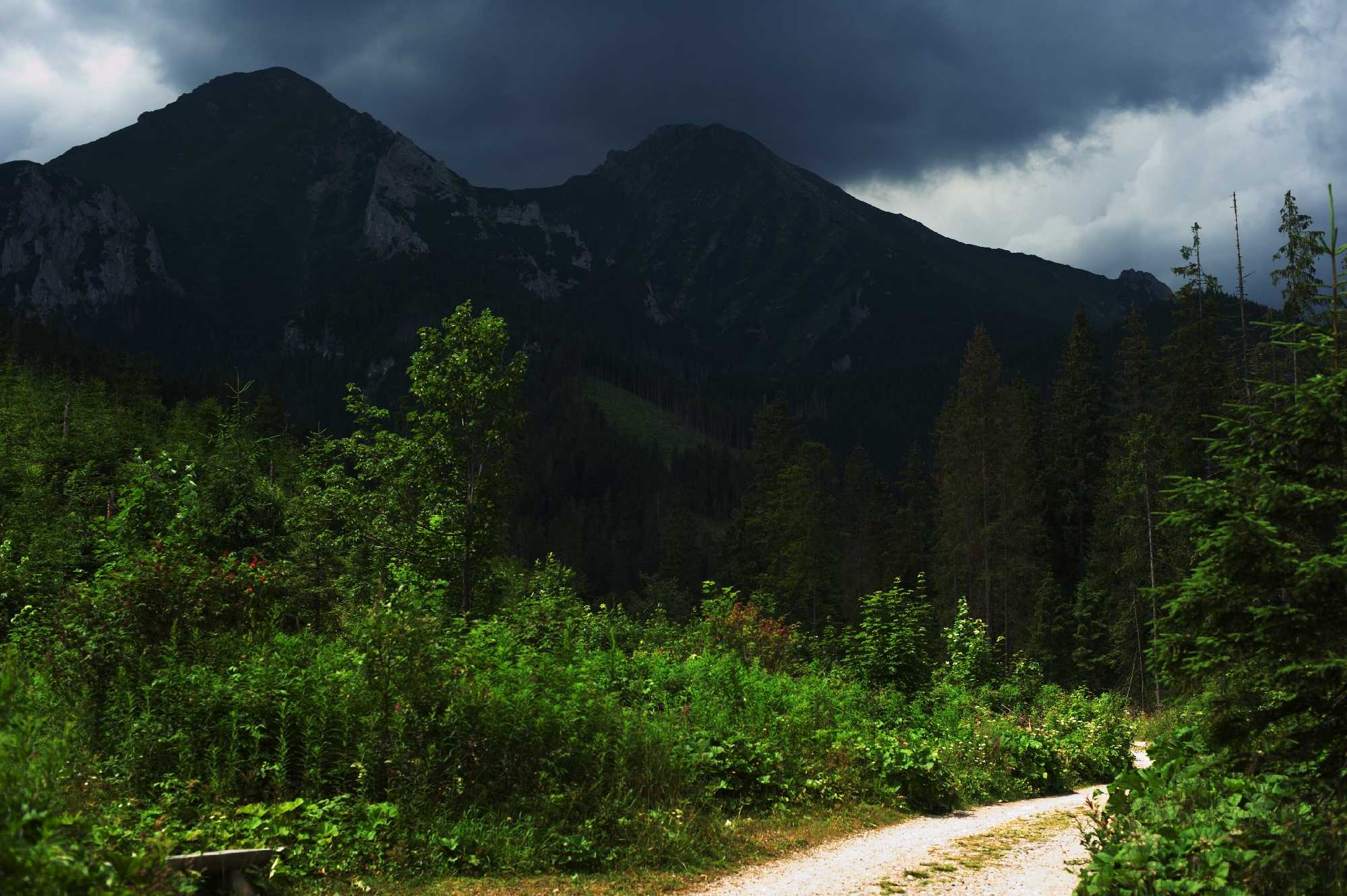 V Tatrách - Foto Tomáš Kunze 1025
