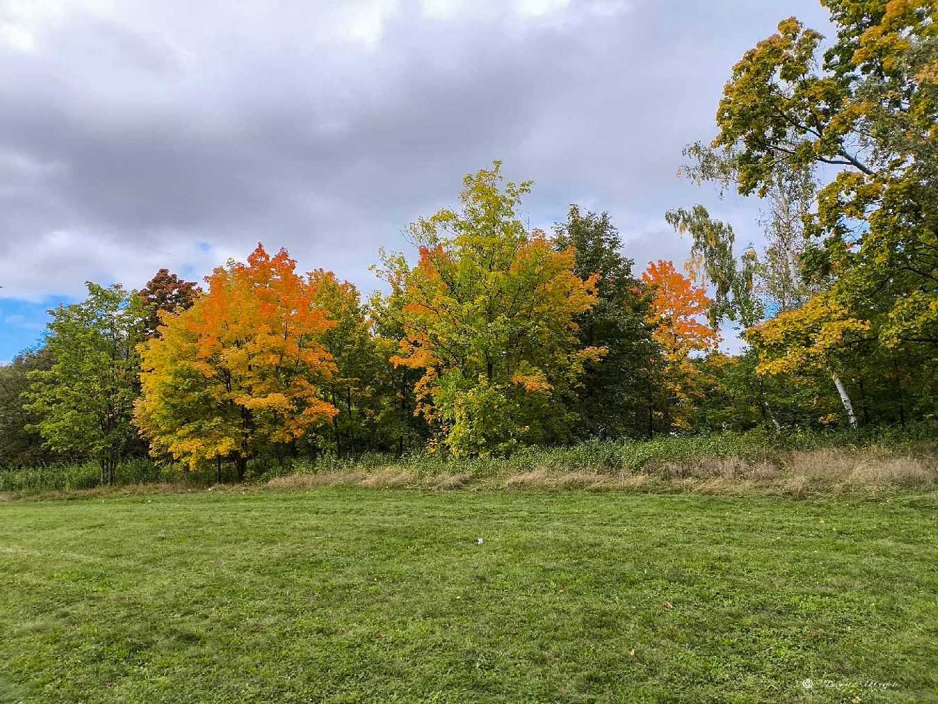 Barevný podzim - Foto Pavel Ulrych 1025 (3)