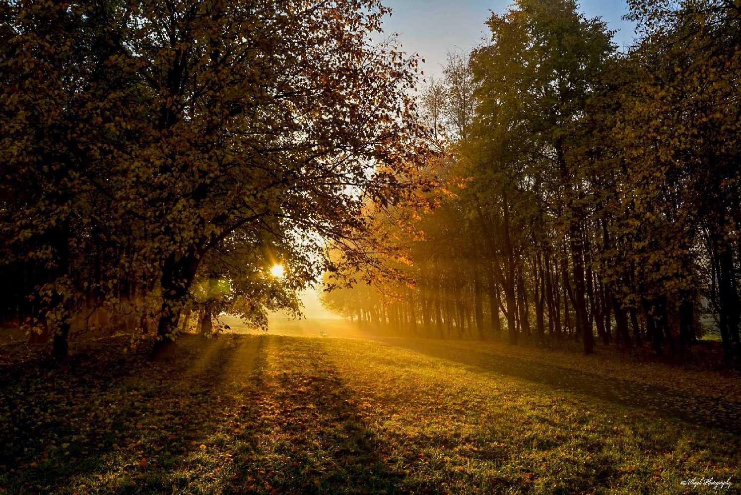 Podzimní ráno - Foto Pavel Ulrych 1025