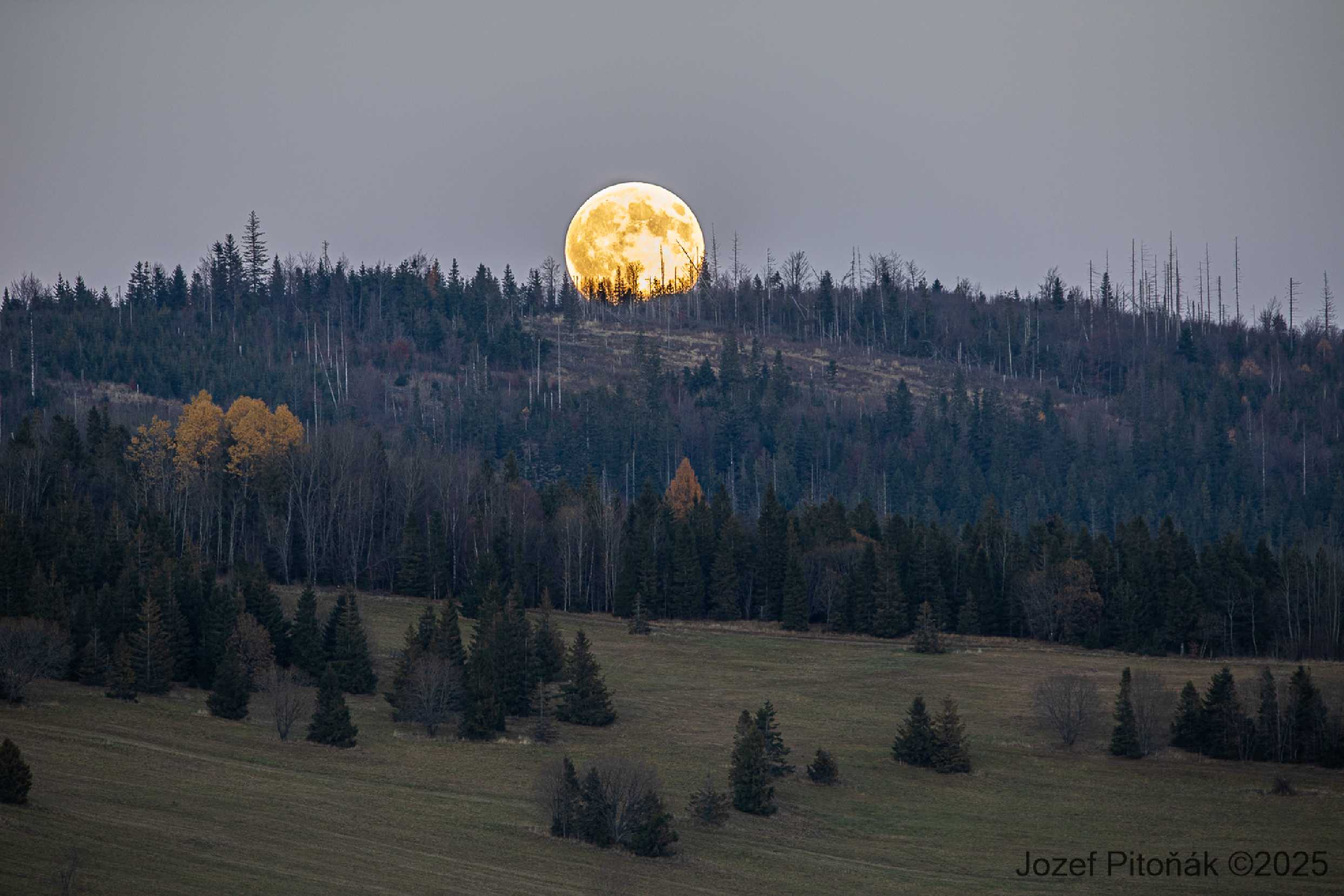 Měsíční fotohrátky - Foto Jozef Pitoňák 1125 (5)