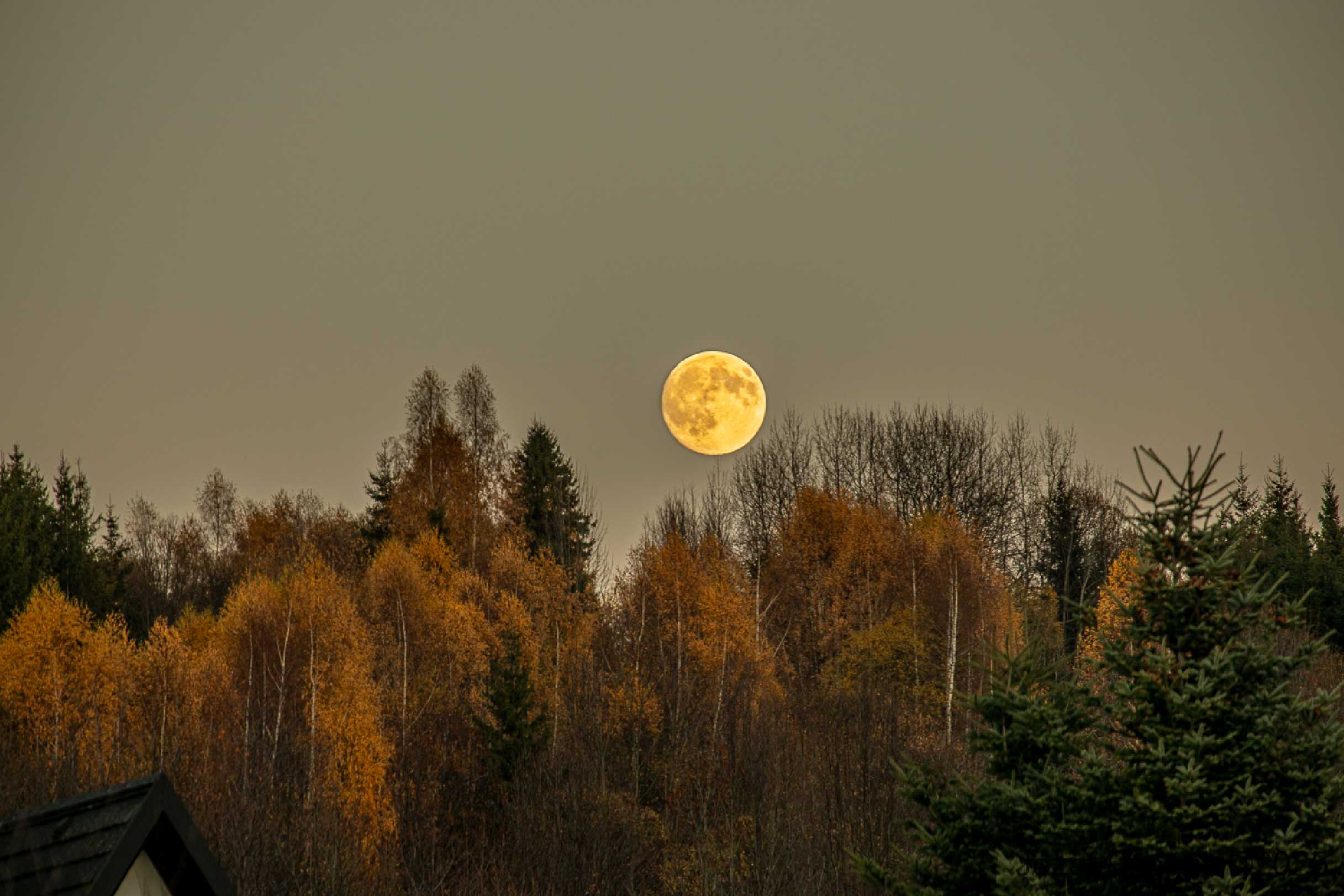 Měsíční fotohrátky - Foto Jozef Pitoňák 1125 (8)
