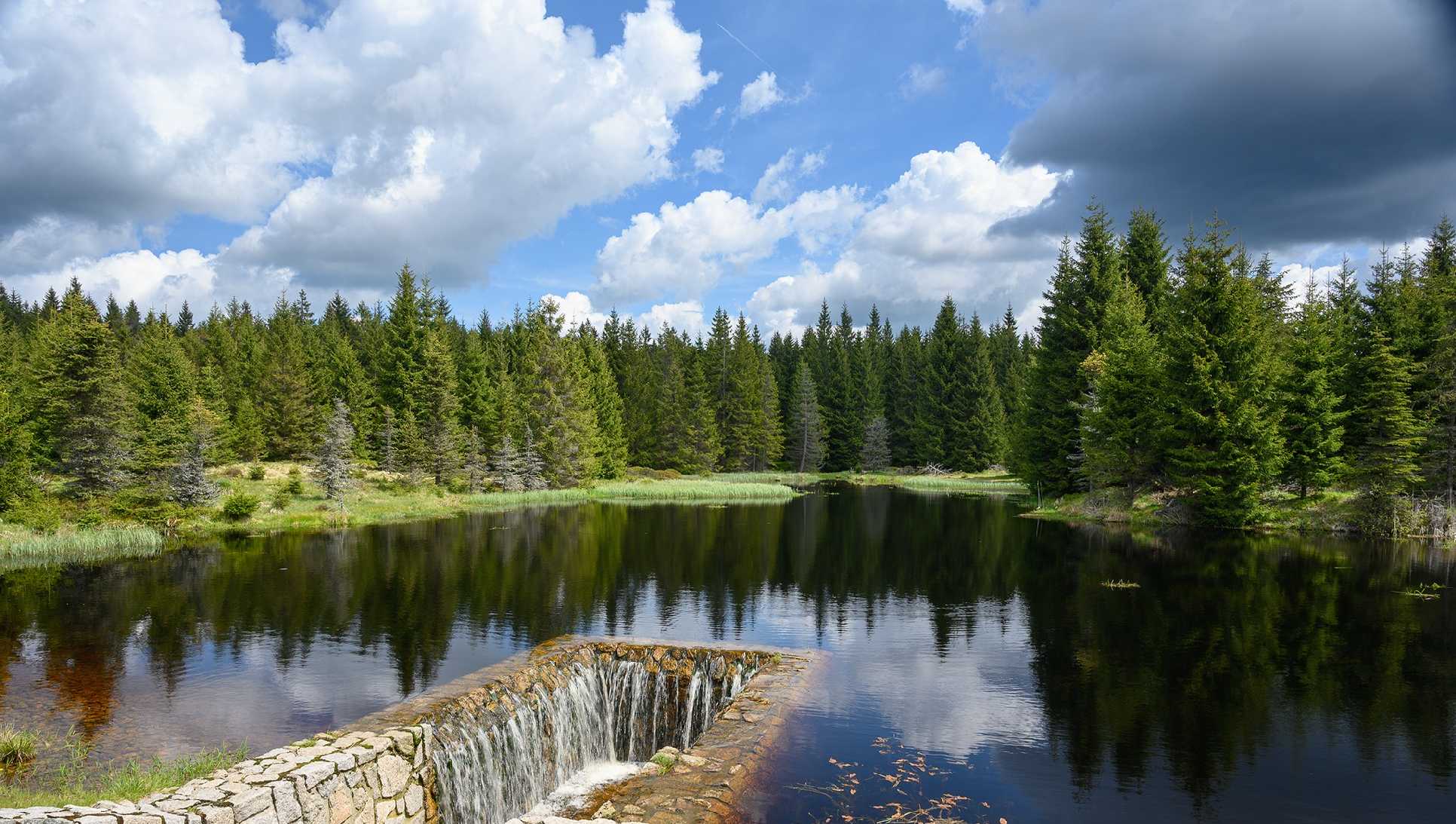 Černá Smědá - Foto Jaroslava Jechová 0625