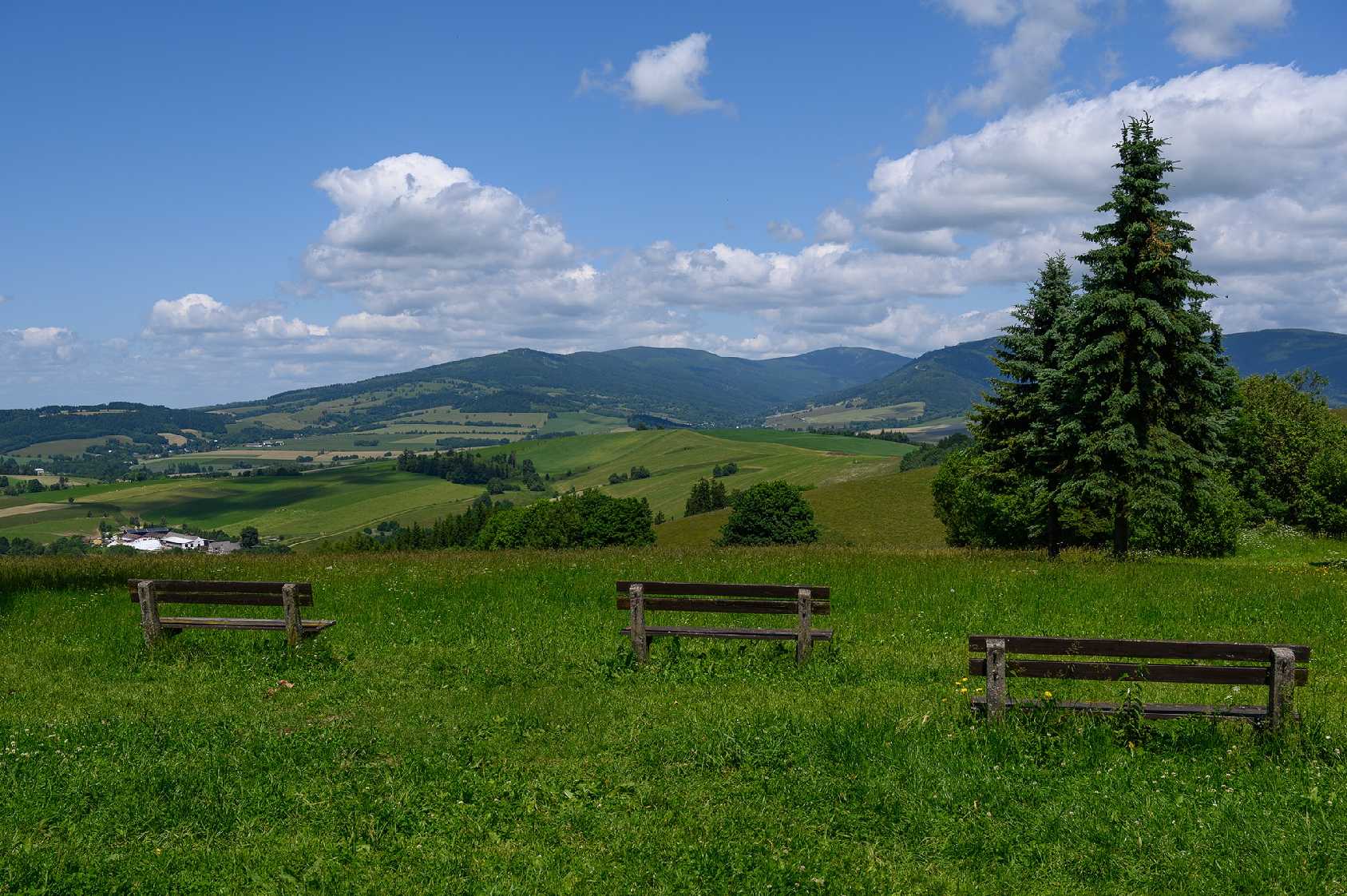 Na Hedeči - Foto Jaroslava Jechová 0625 (3)