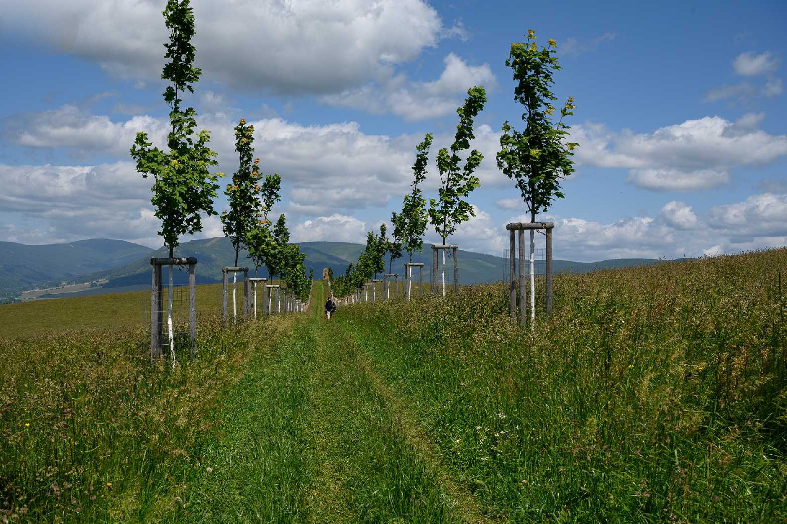 Na Hedeči - Foto Jaroslava Jechová 0625 (4)