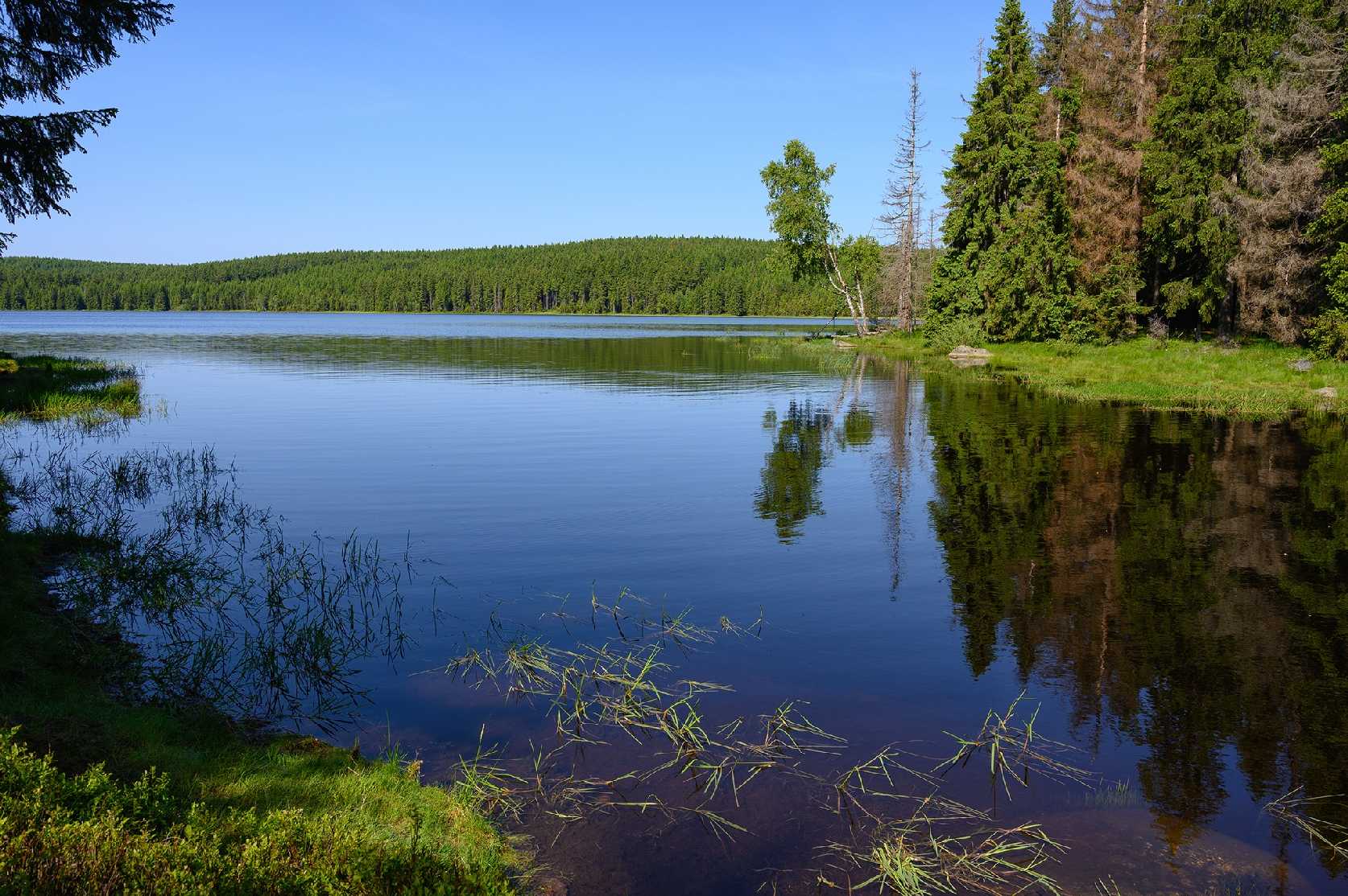V Jizerskách horách - Foto Jaroslava Jechová 0625 (1)