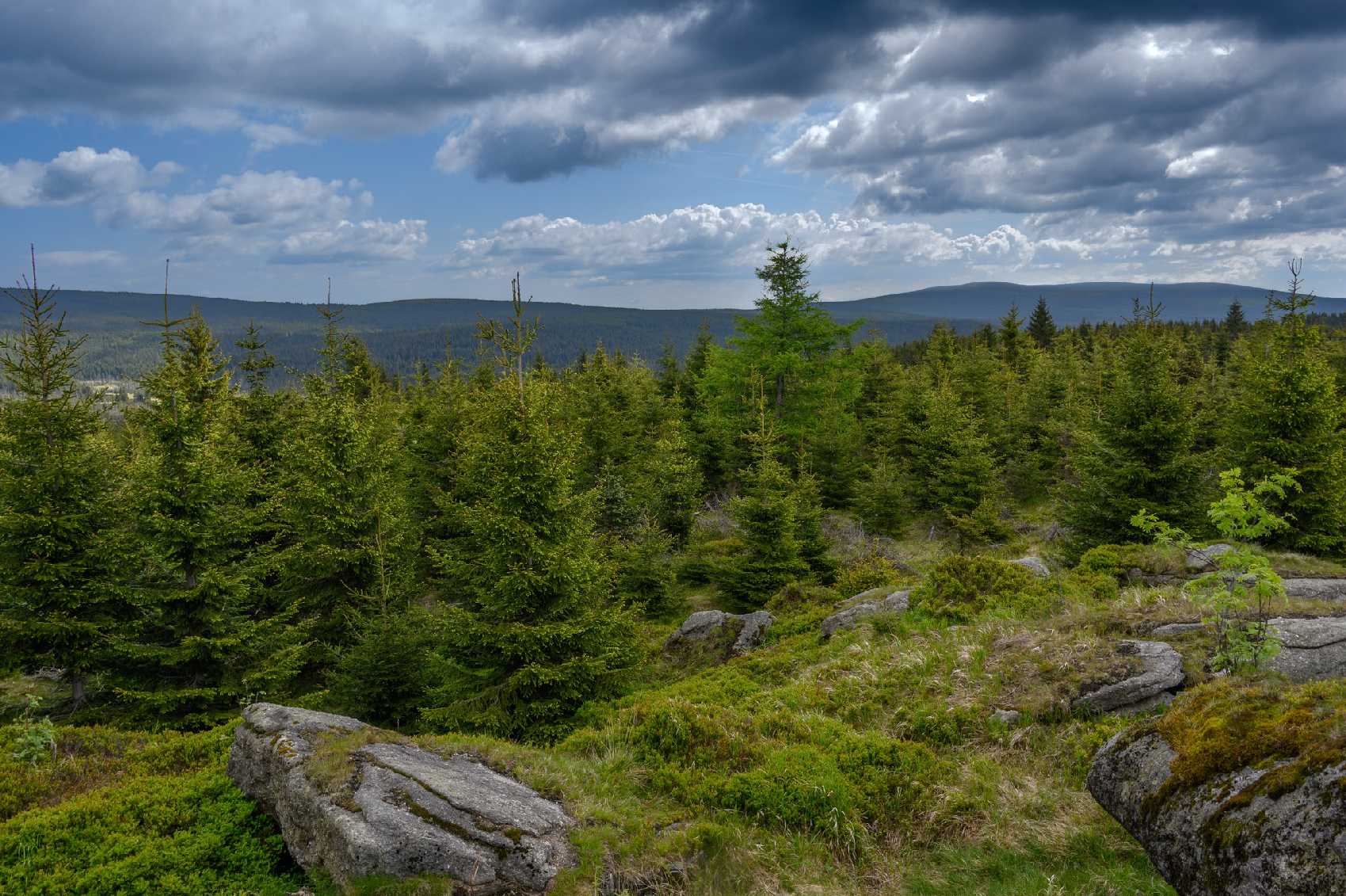 Zelený kámen v Jizerských horách - Foto Jaroslava Jechová 0625