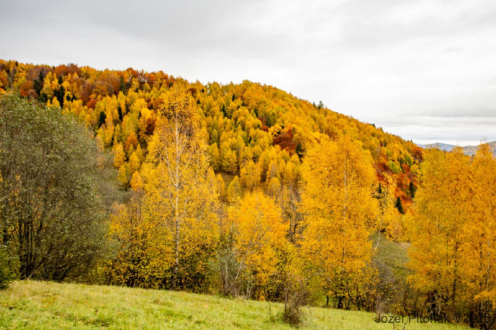 Úhorná a Smolník - Foto Jozef Pitoňák 1025 (3)