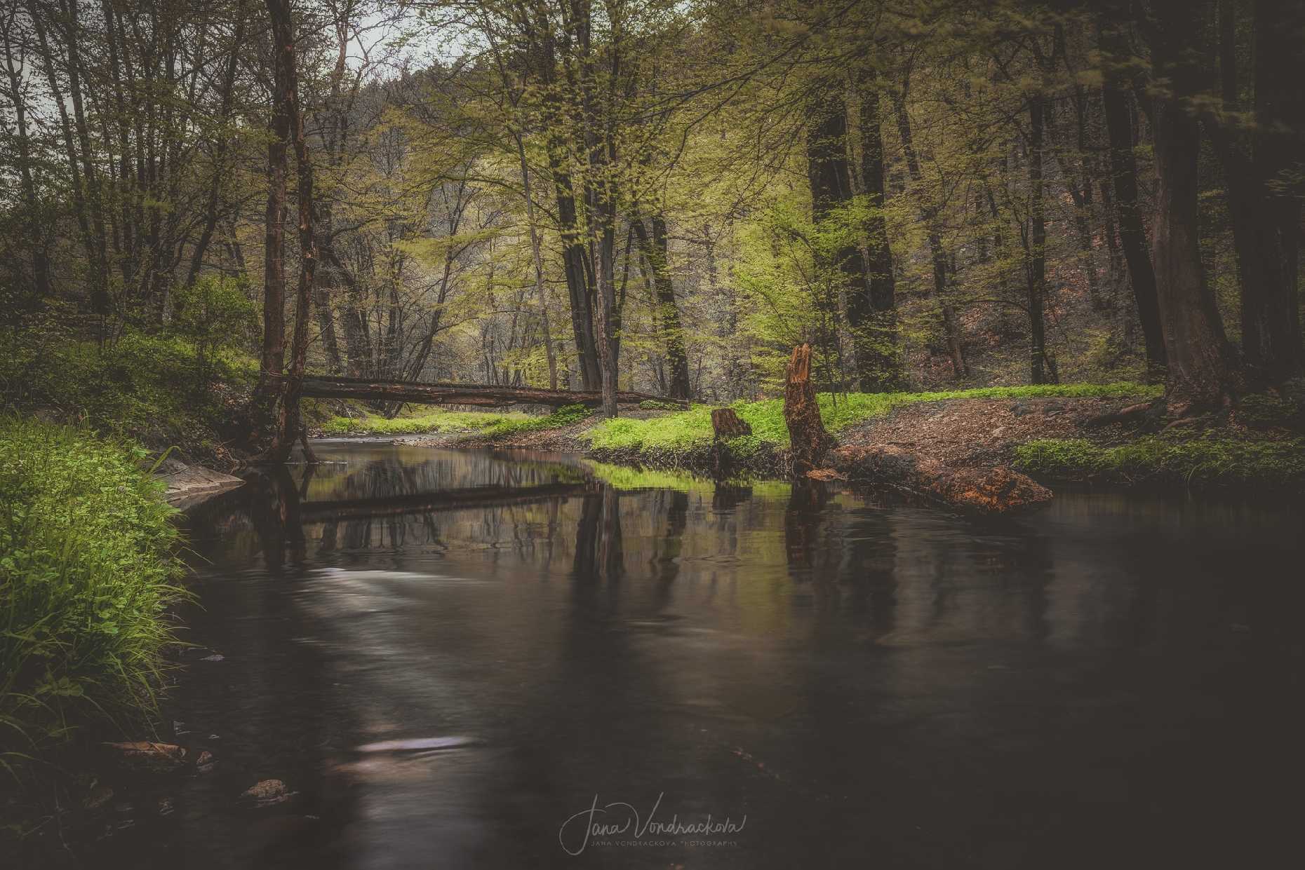 Na Zbirožském potoce - Foto Jana Vondráčková 0425