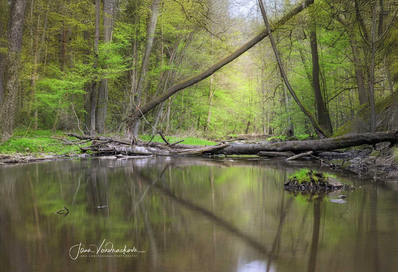 Skryjské jezírko - Foto Jana Vondráčková 0425