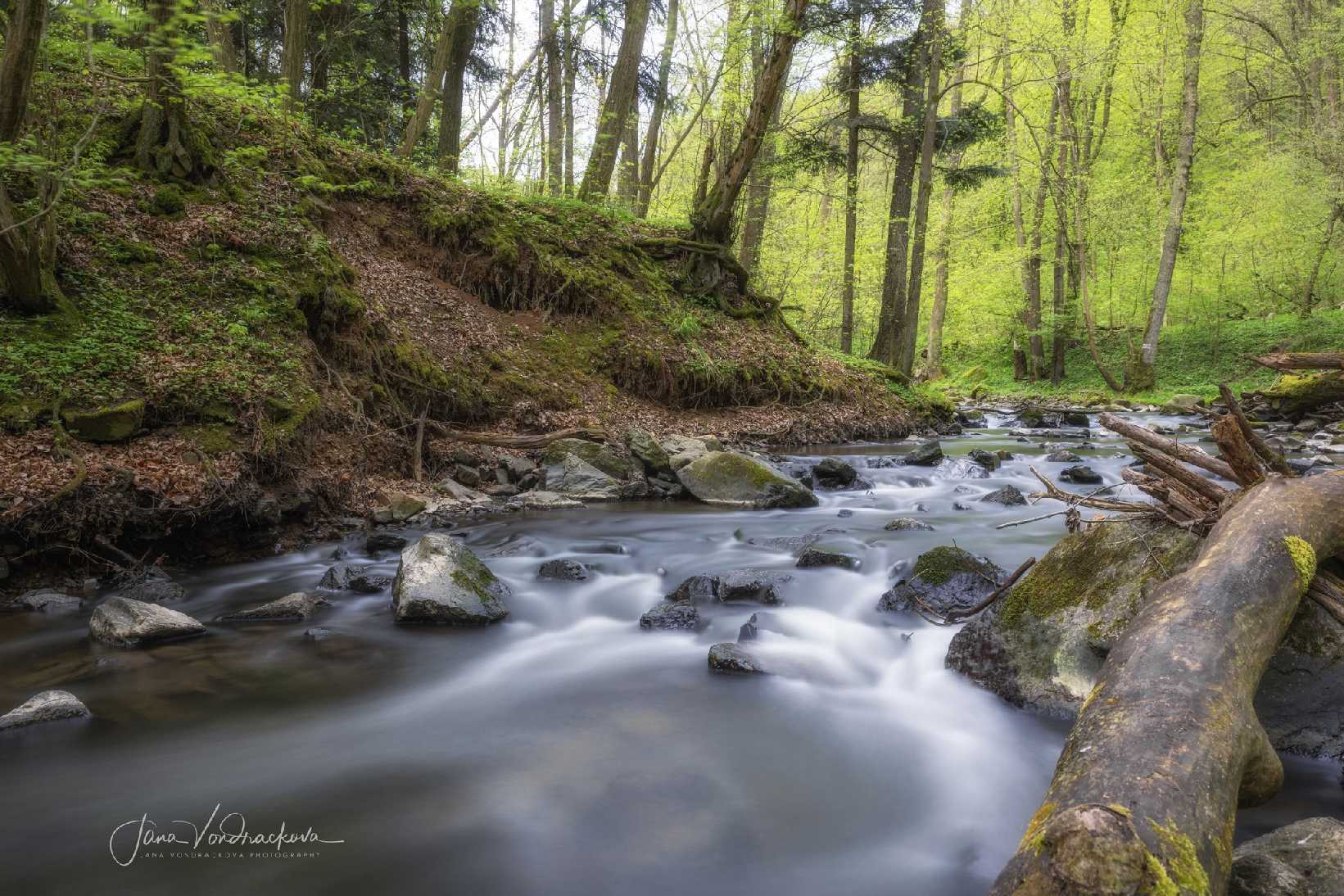 Zbirožský potok - Foto Jana Vondráčková 0425