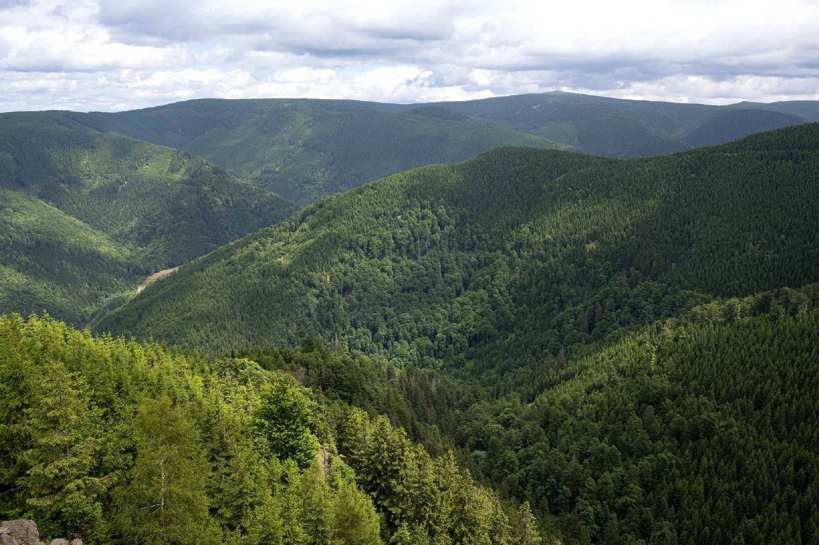 Medvědí hora - Rysí skála - Foto Jaroslava Jechová 0725 (1)
