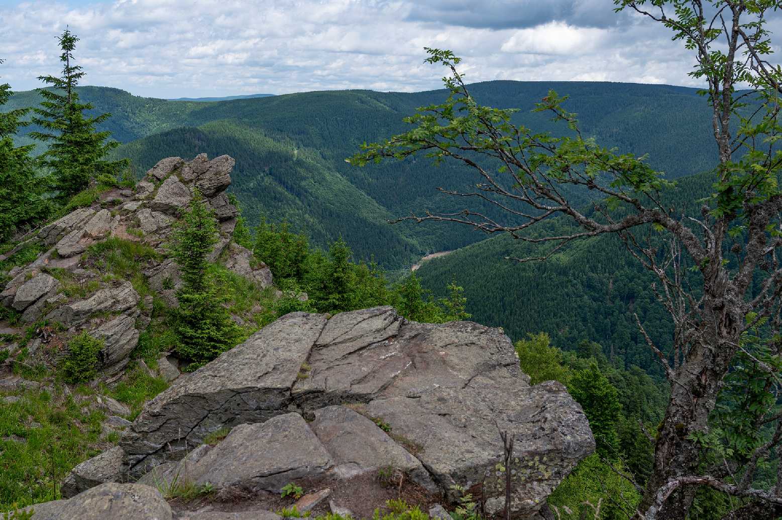 Medvědí hora - Rysí skála - Foto Jaroslava Jechová 0725 (6)