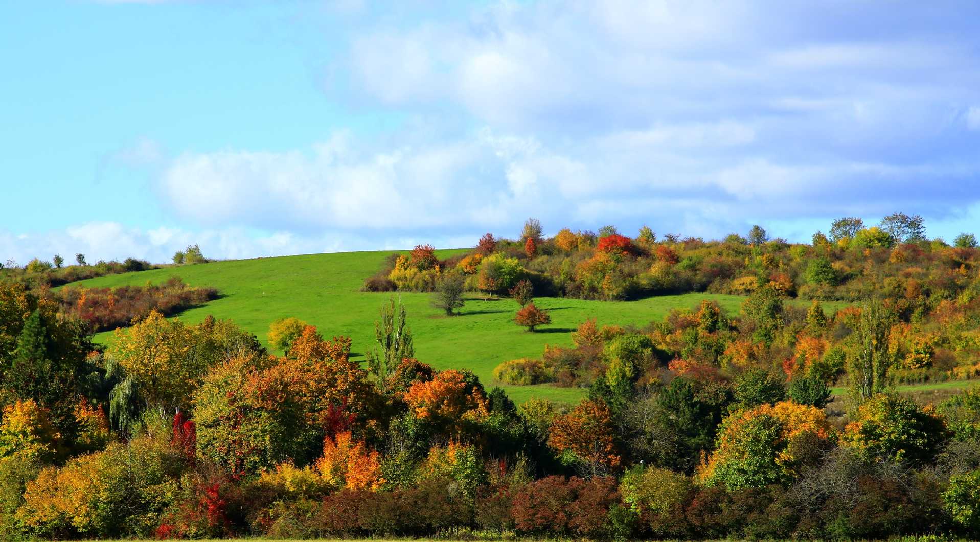 Pestrý podzim - Foto Pavel Balazka 1025