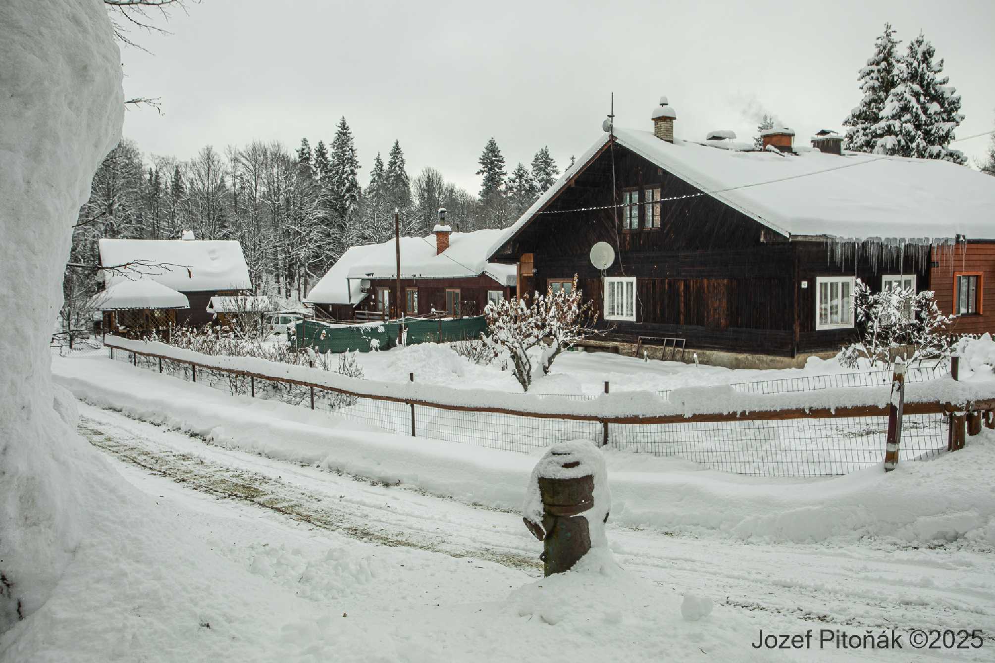 Javorina - Foto Jozef Pitoňák 1225 (1)