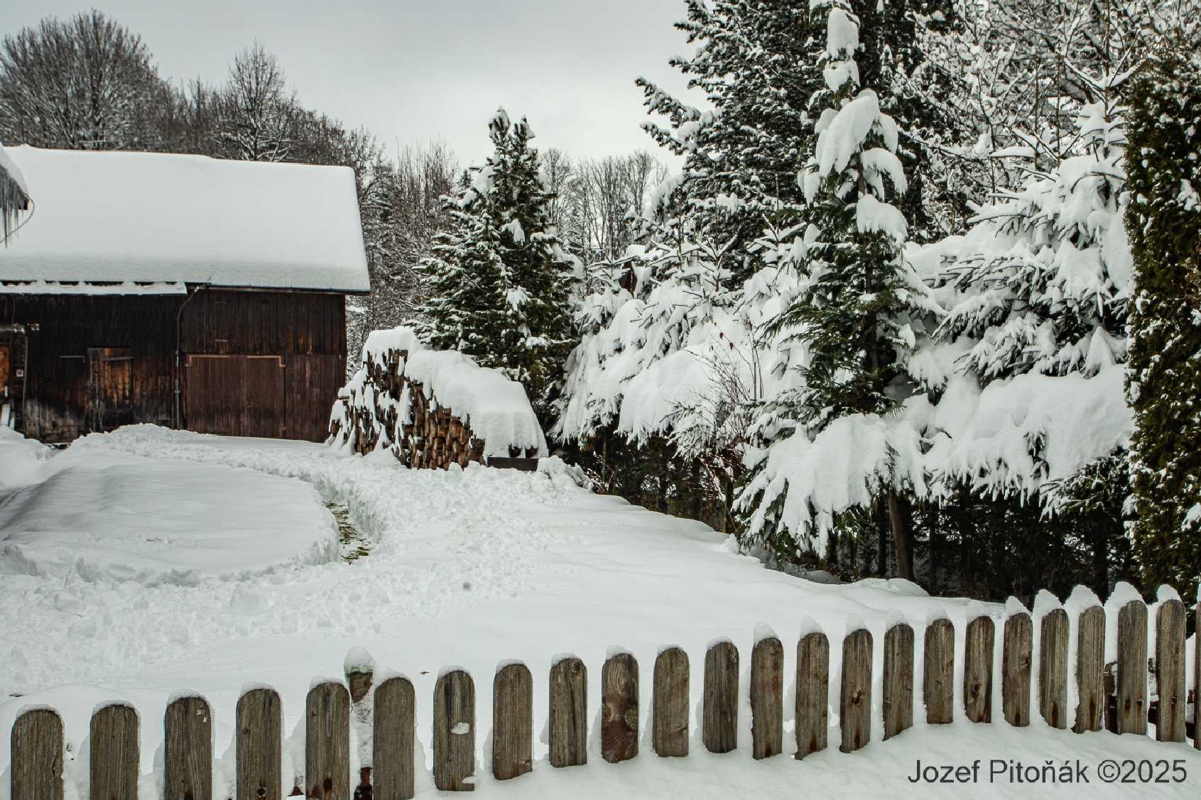 Javorina - Foto Jozef Pitoňák 1225 (3)