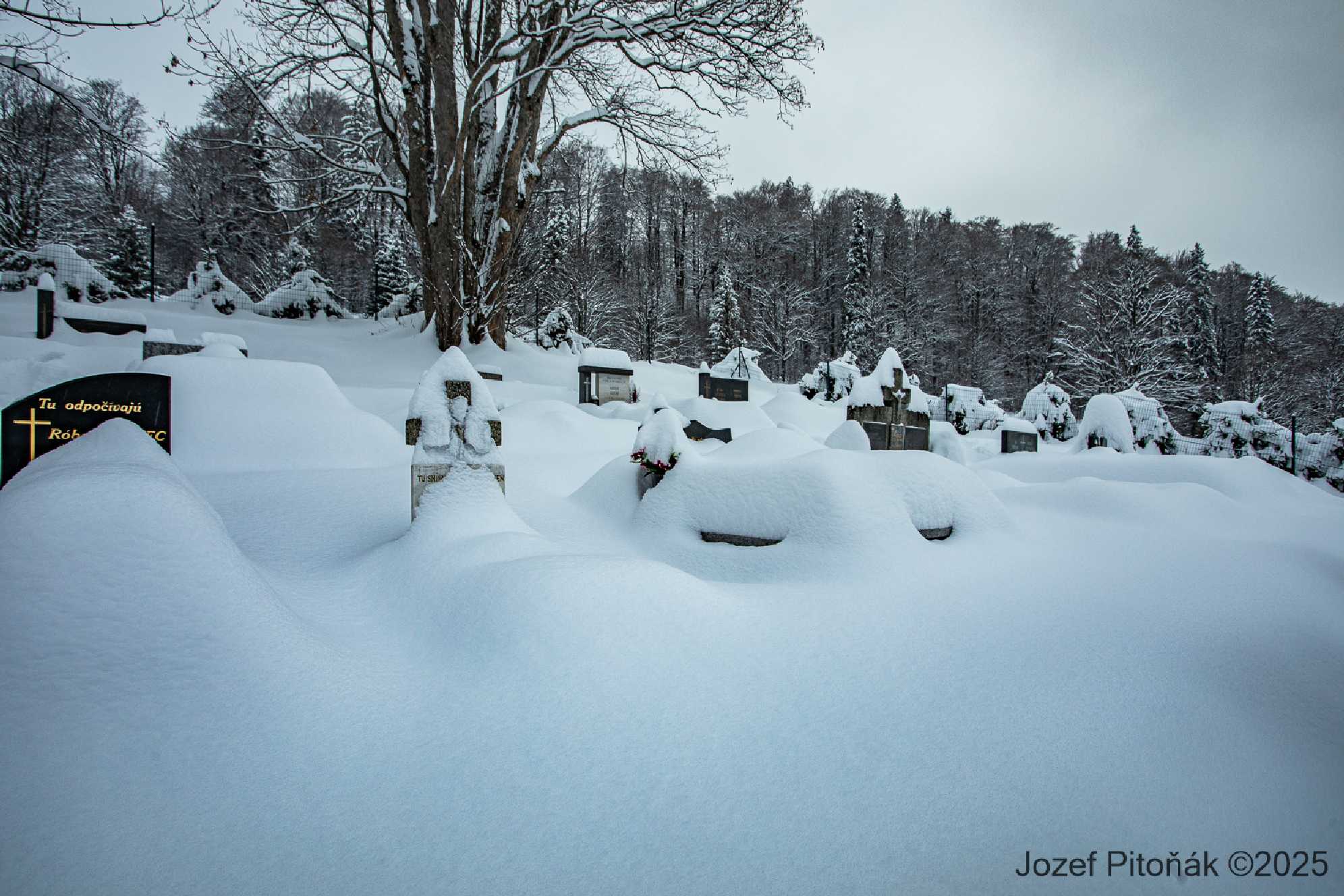 Javorina - Foto Jozef Pitoňák 1225 (5)