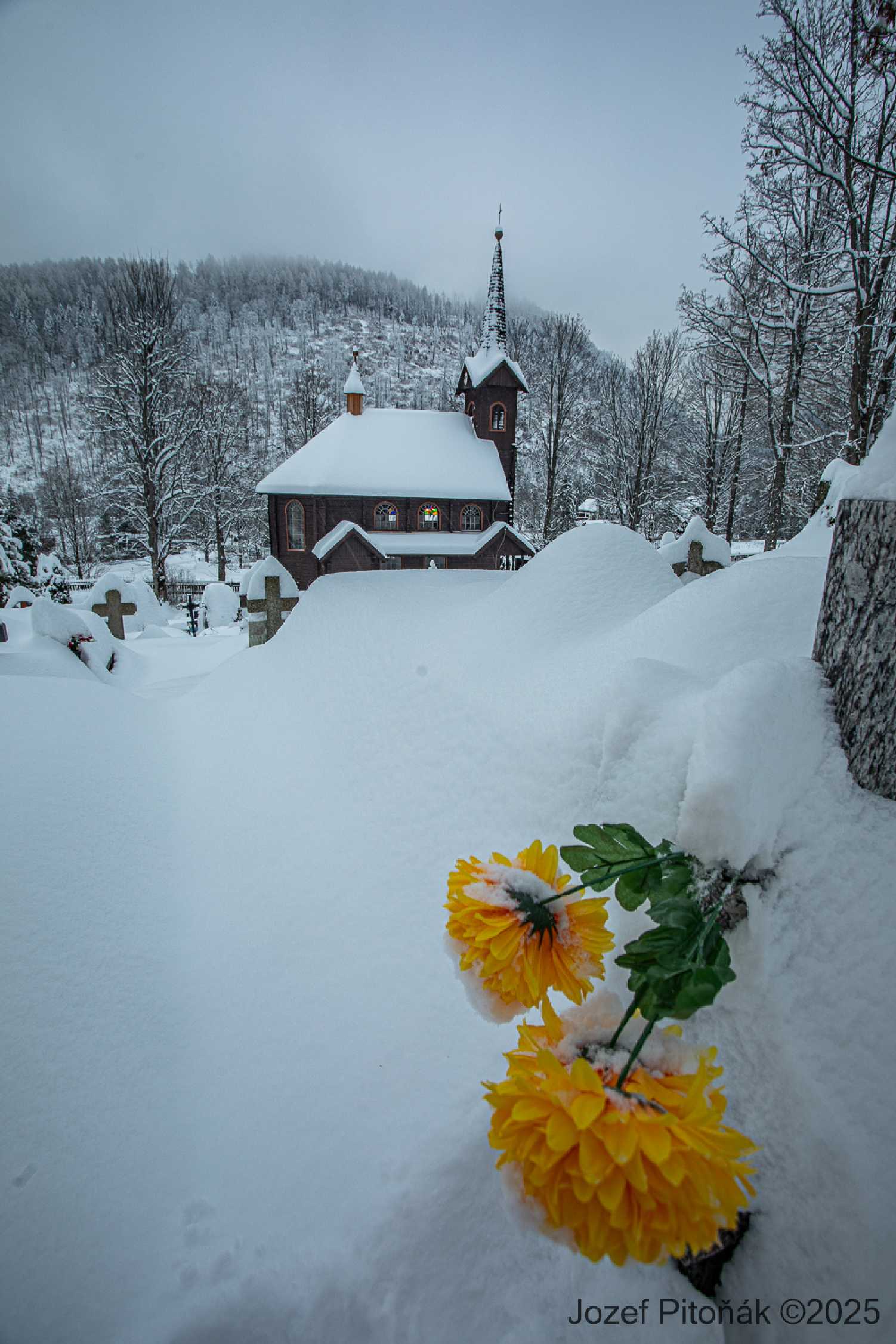 Javorina - Foto Jozef Pitoňák 1225 (9)