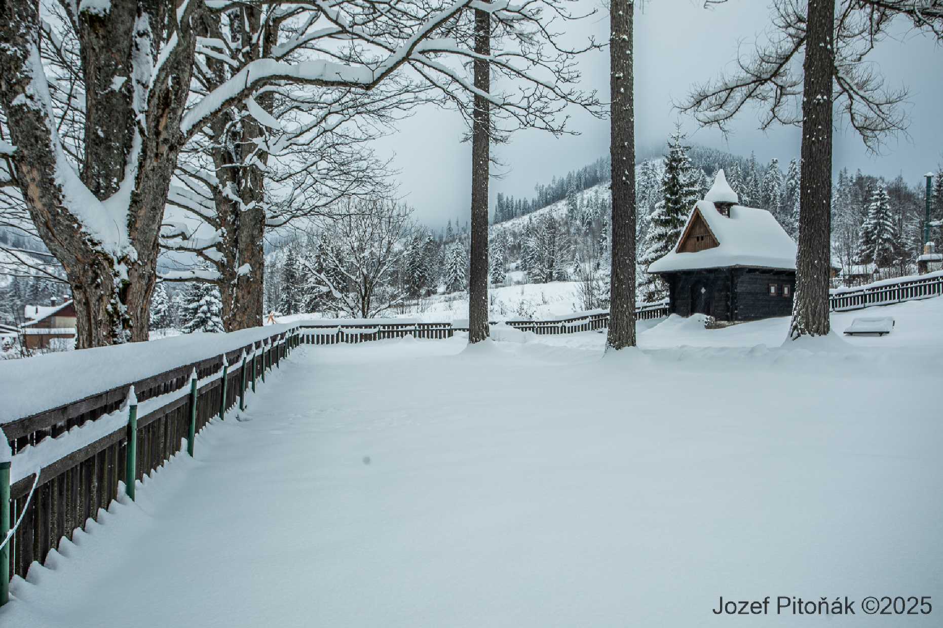 Javorina - Foto Jozef Pitoňák 1225 (11)