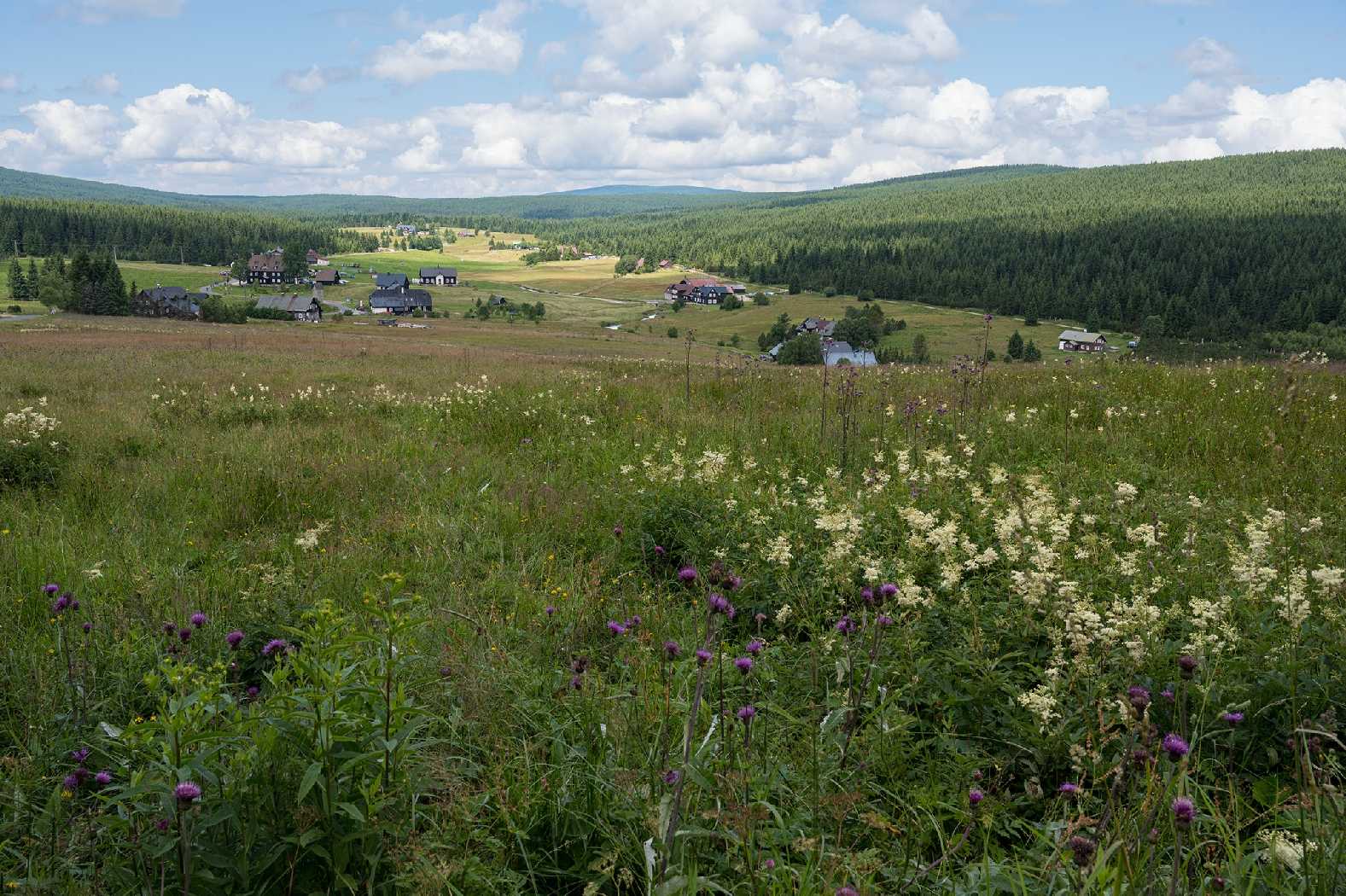 Na Jizerce - Foto Jaroslava Jechová 0725 (1)