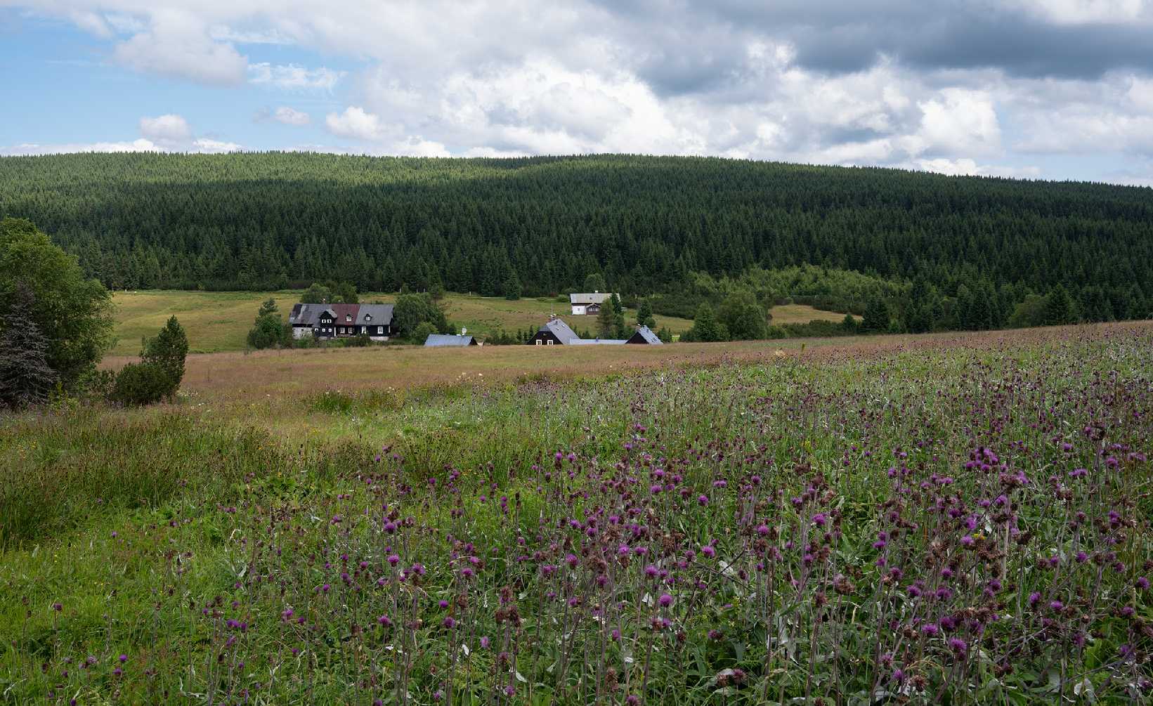 Na Jizerce - Foto Jaroslava Jechová 0725 (4)