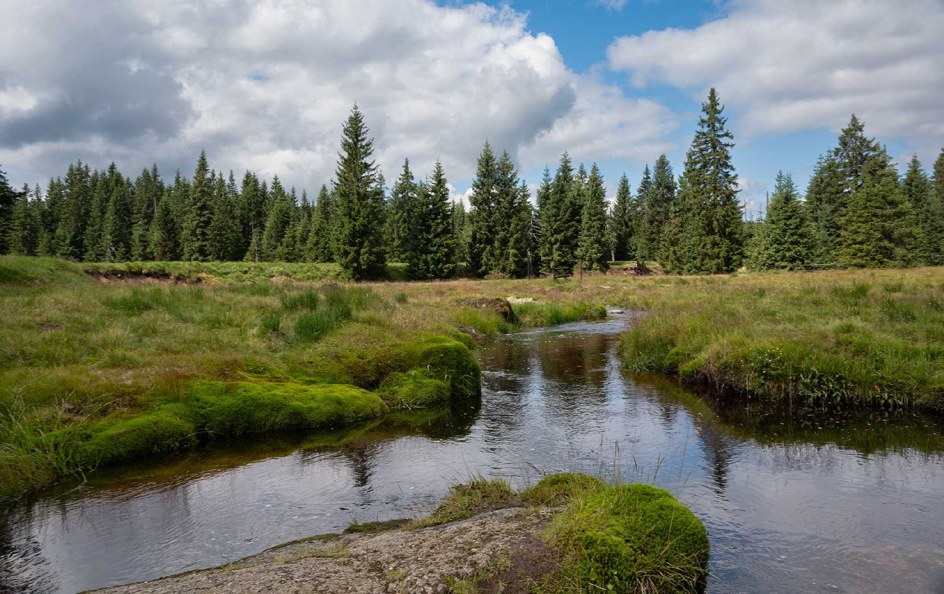 Na Jizerce - Foto Jaroslava Jechová 0725 (5)