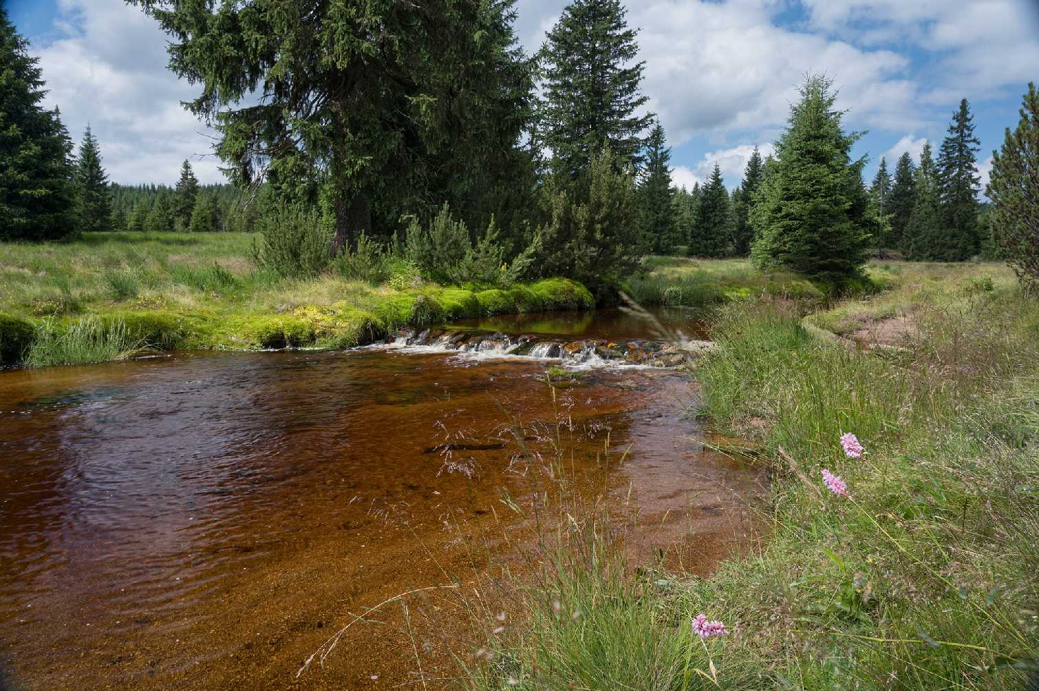 Na Jizerce - Foto Jaroslava Jechová 0725 (7)