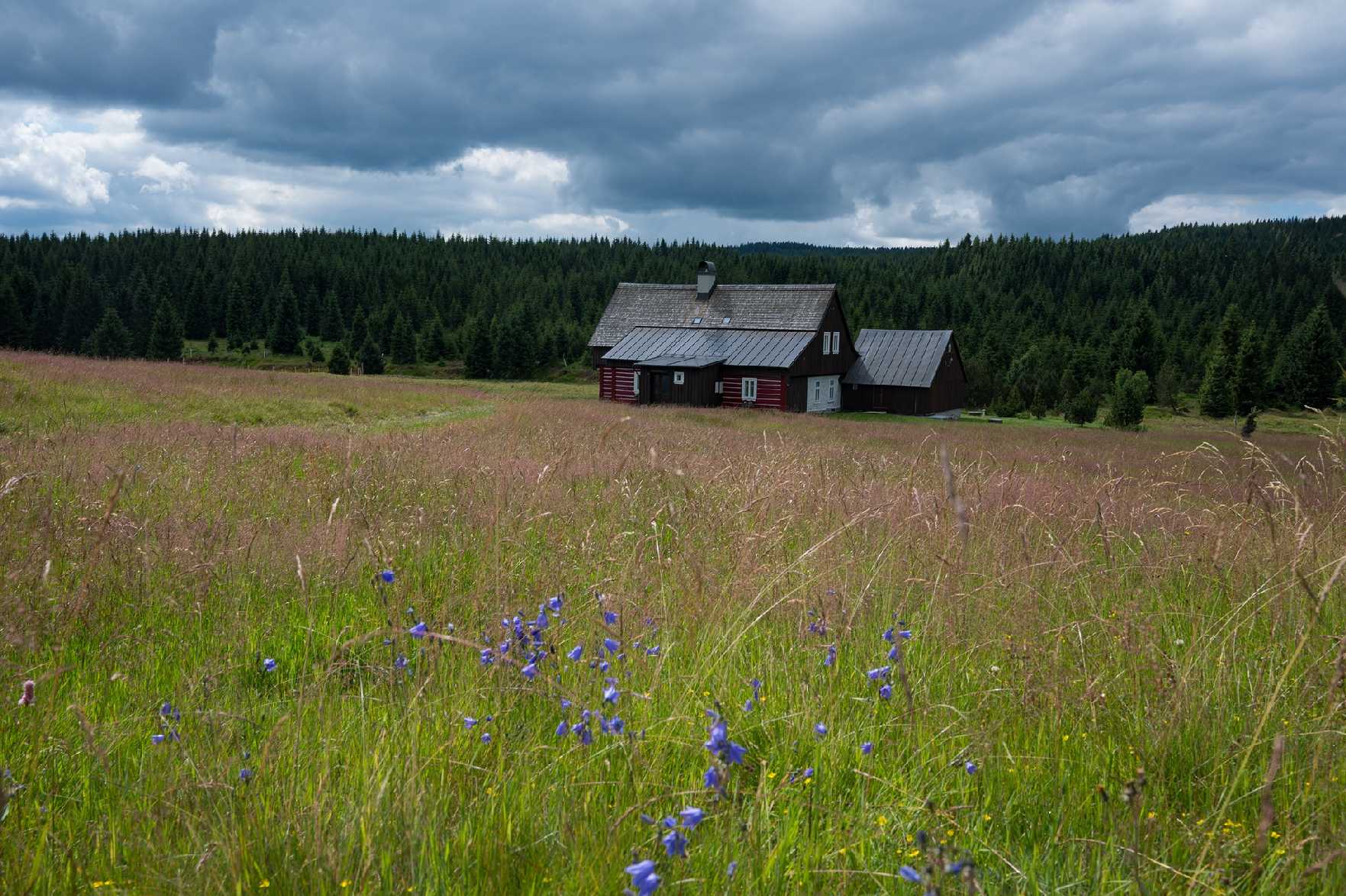 Na Jizerce - Foto Jaroslava Jechová 0725 (8)