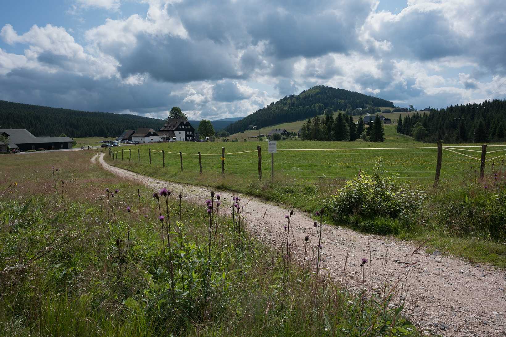 Na Jizerce - Foto Jaroslava Jechová 0725 (9)